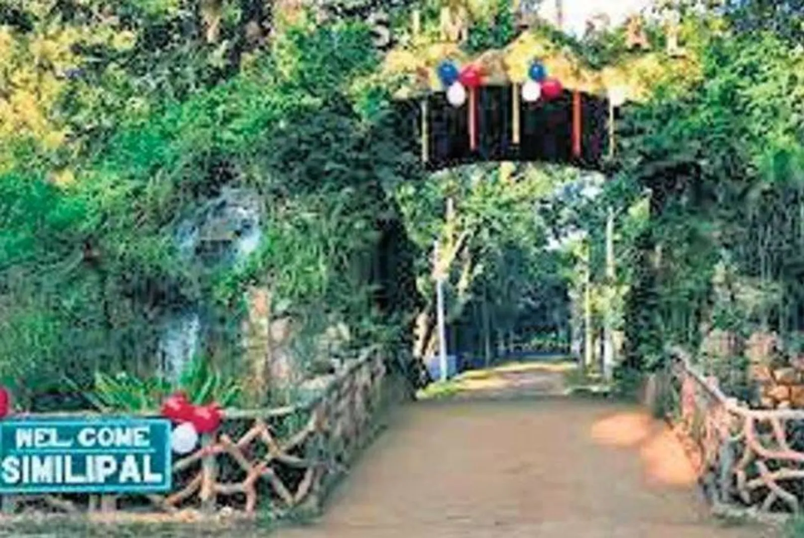 ଶିମିଳିପାଳ ଜଙ୍ଗଲ ନିଆଁ ଉପରେ ଏଆଇ ନଜର
