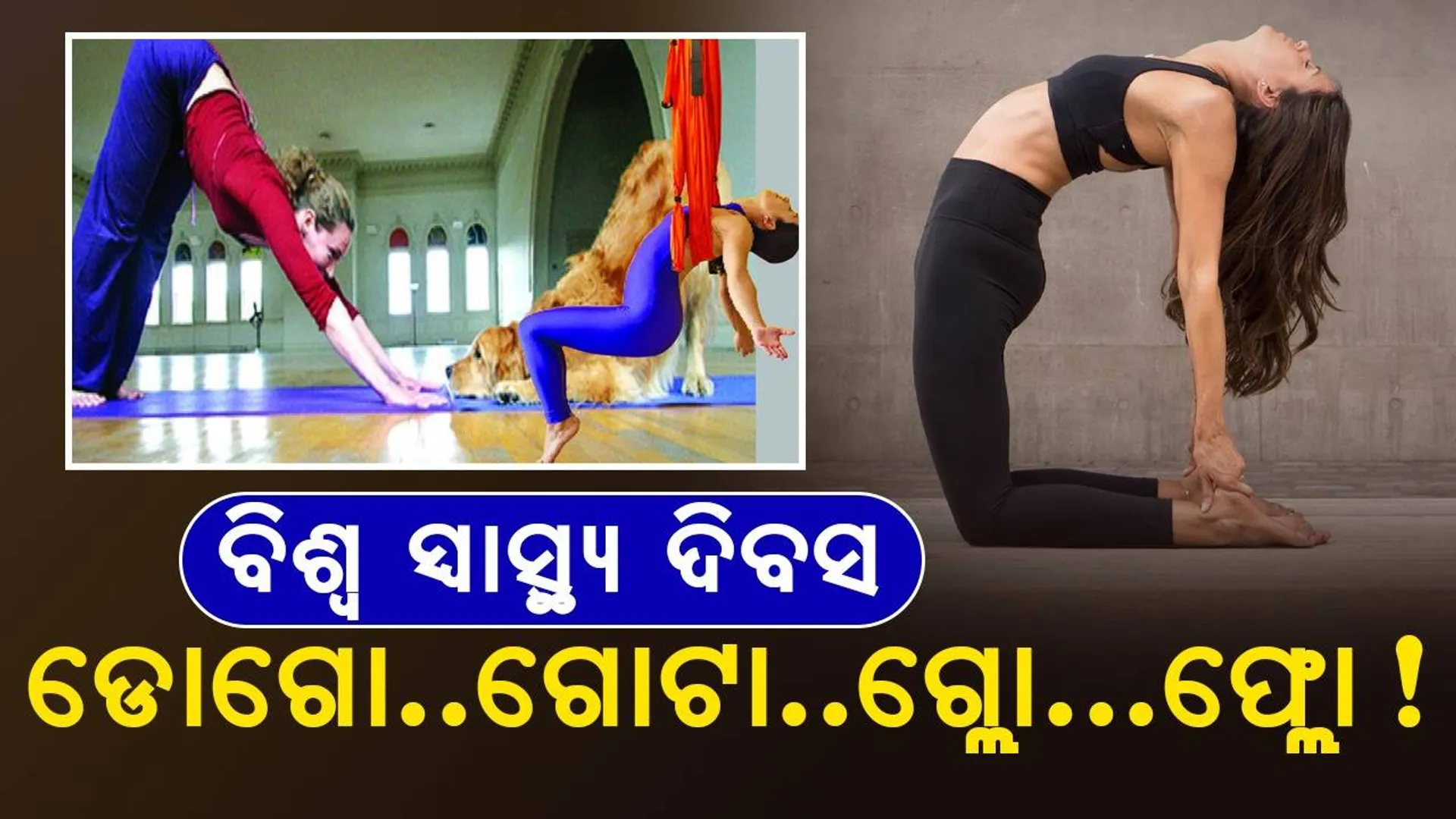 ବିଶ୍ବ ସ୍ବାସ୍ଥ୍ୟ ଦିବସ: ଡୋଗା..ଗୋଟା..ଗ୍ଲୋ...ଫ୍ଲୋ!