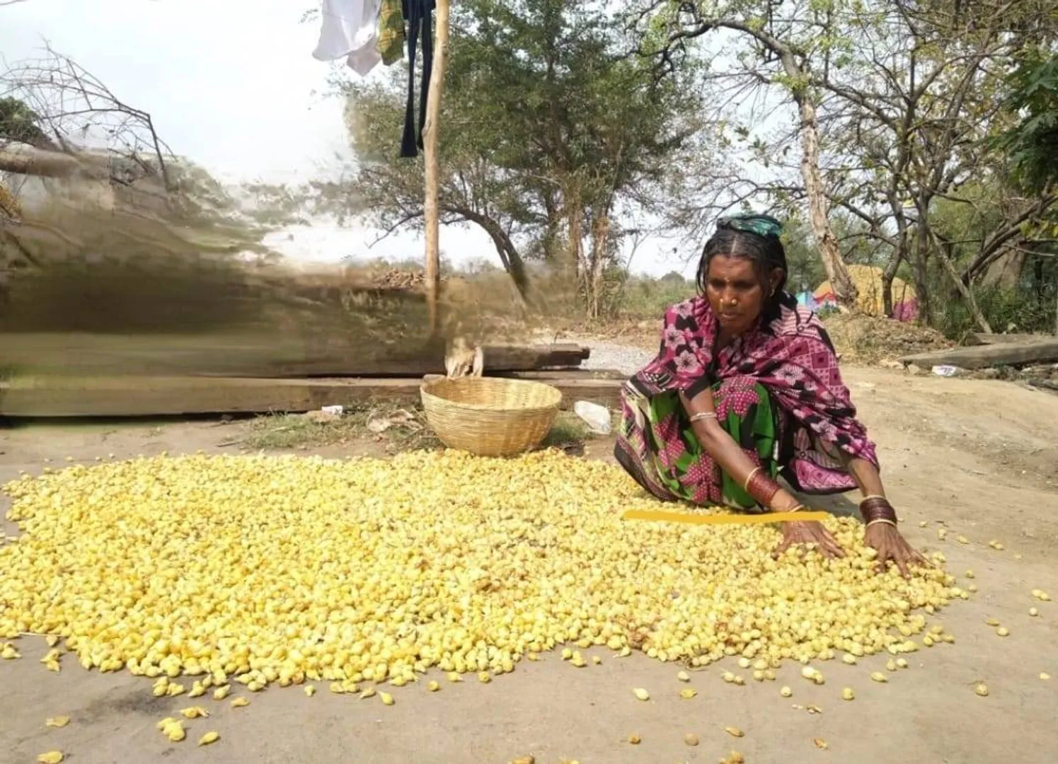 ବେପାରୀଙ୍କ କବ୍‌ଜାରେ ମହୁଲଫୁଲ, ଆଦିବାସୀ ଶୋଷିତ 
