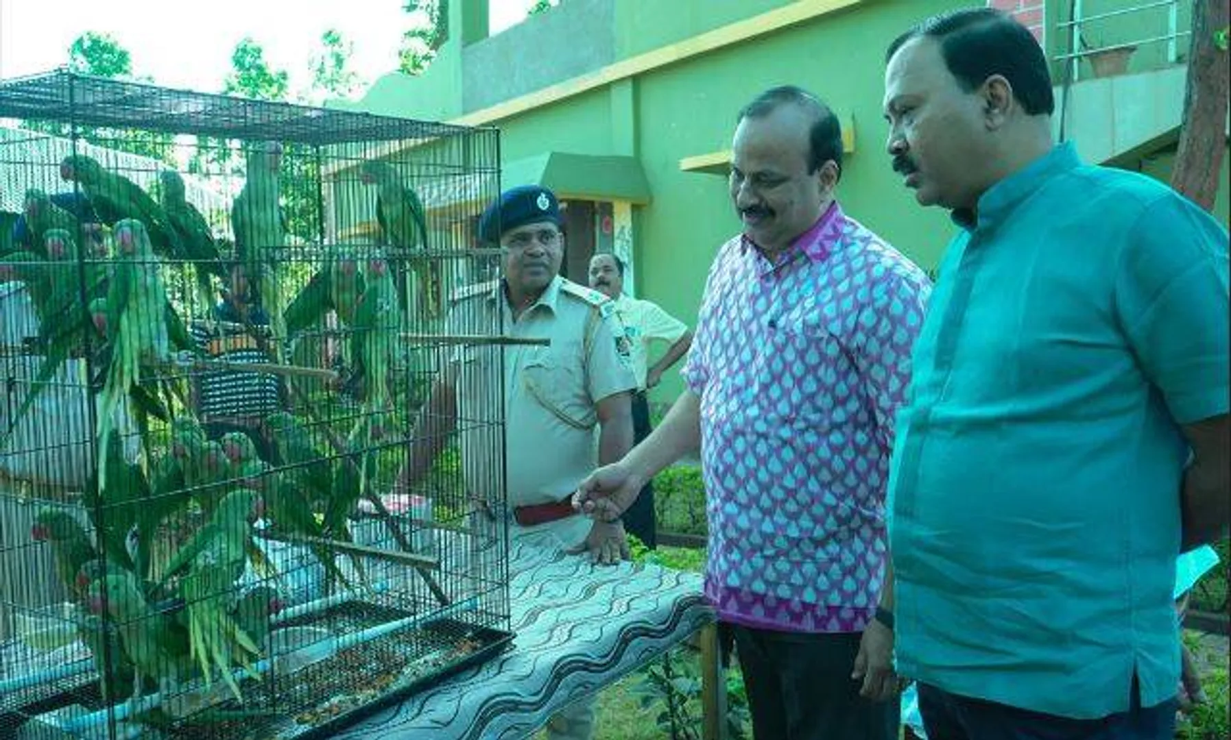 ପକ୍ଷୀଚୋରଙ୍କ ଠାରୁ ଉଦ୍ଧାର ୬୧ ଶୁଆ ହେଲେ ମୁକ୍ତ  
