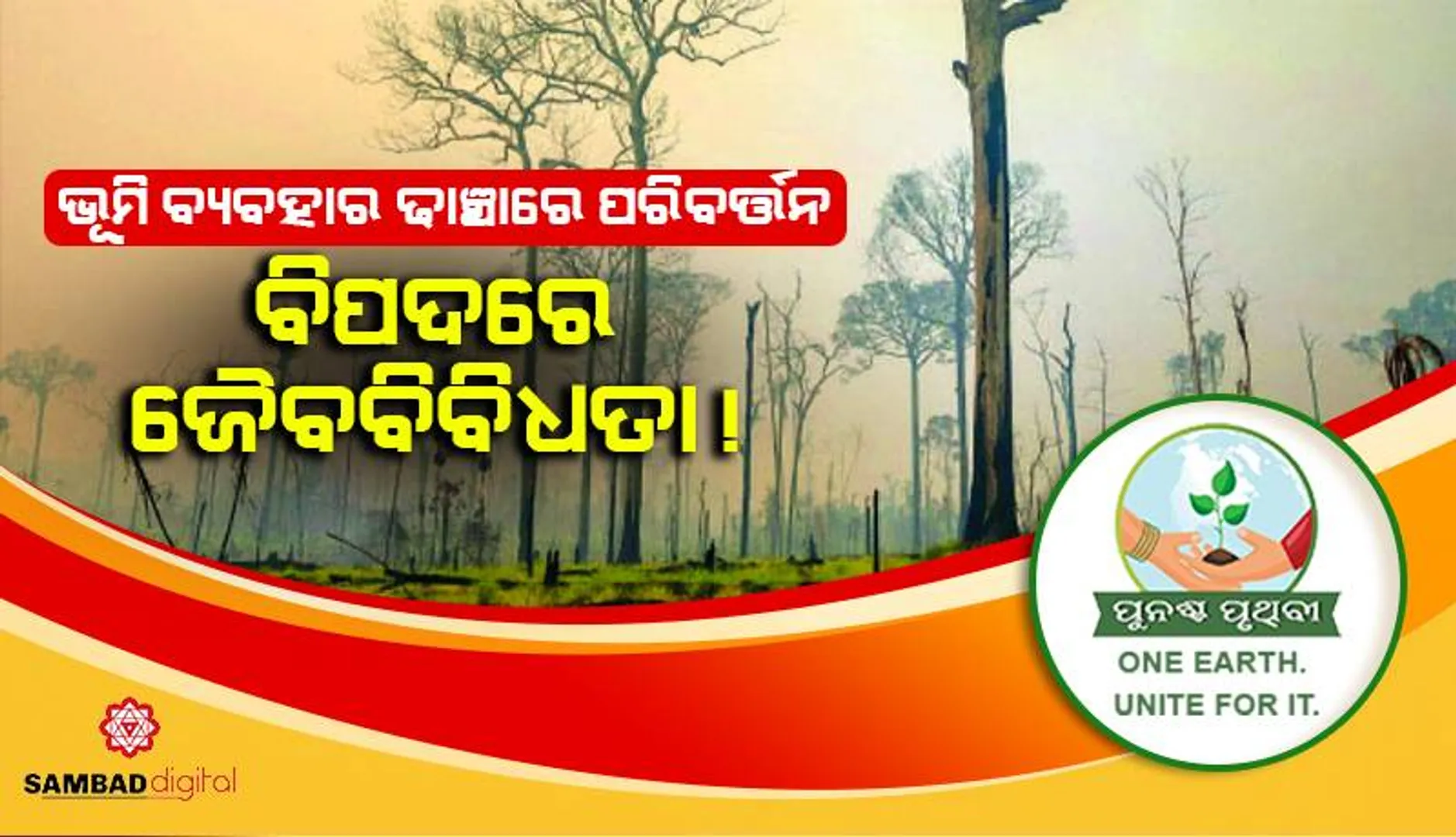 ଭୂମି ବ୍ୟବହାର ଢାଞ୍ଚାରେ ପରିବର୍ତ୍ତନ: ବିପଦରେ ଜୈବବିବିଧତା!