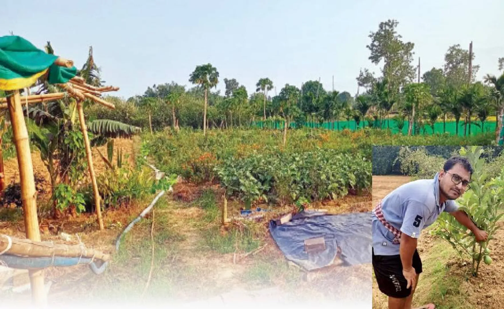 ଶୂନରୁ ଶହେ: ଇଂଜିନିୟର୍‌ରୁ ସଫଳ କୃଷି ଉଦ୍ୟୋଗୀ