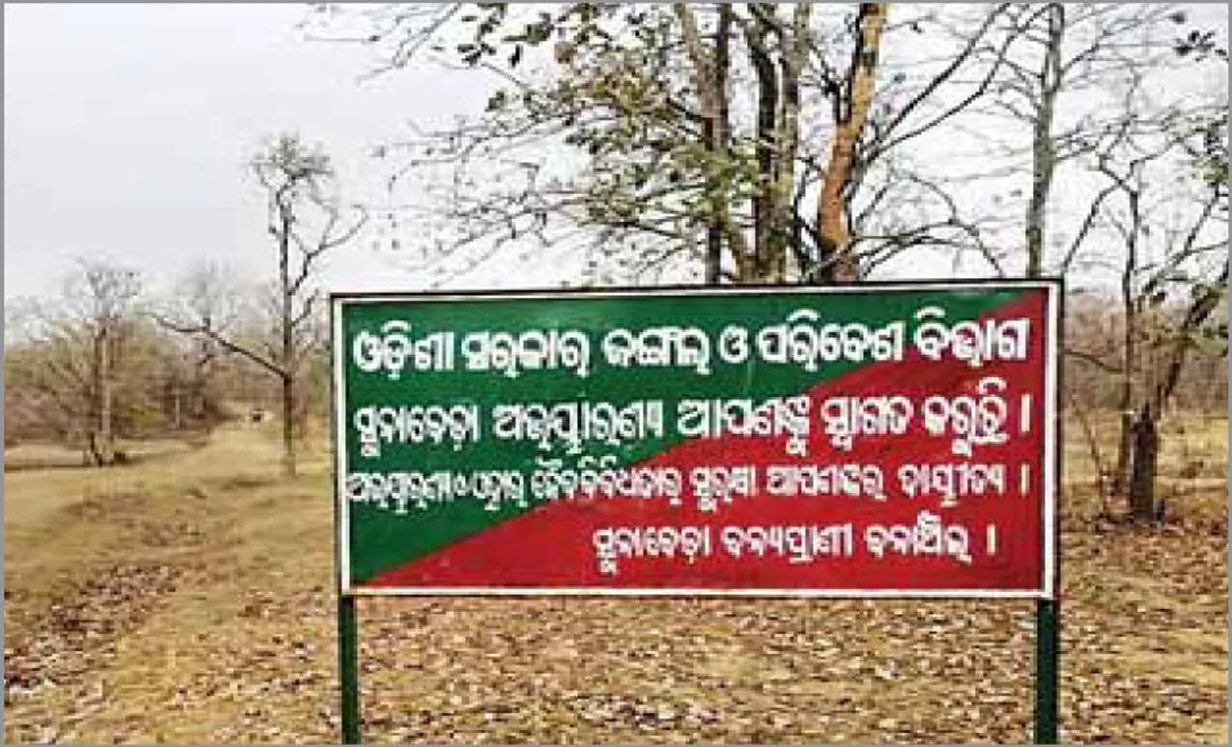 ସୁନାବେଡ଼ା ଅଭୟାରଣ୍ୟରେ ଜଳାଭାବ: ଗାଁମୁହାଁ ତୃଷାର୍ତ୍ତ ବନ୍ୟପ୍ରାଣୀ