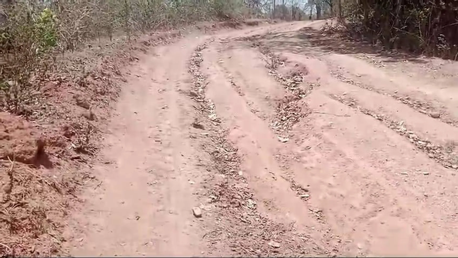 ଝରିଗାଁ ବ୍ଳକରେ ବହୁ ଗ୍ରାମକୁ ସଂଯୋଗ ହୋଇନାହିଁ ପକ୍କା ରାସ୍ତା: ରୋଗୀ ଓ ଗର୍ଭବତୀ ମହିଳାଙ୍କୁ ଖଟିଆ ଭରଷା