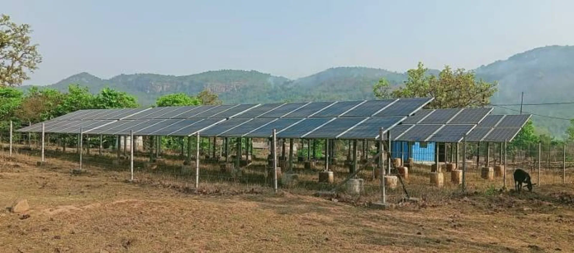 ନିଆଁଖୁଣ୍ଟାରେ କଟୁଛି ରାତି