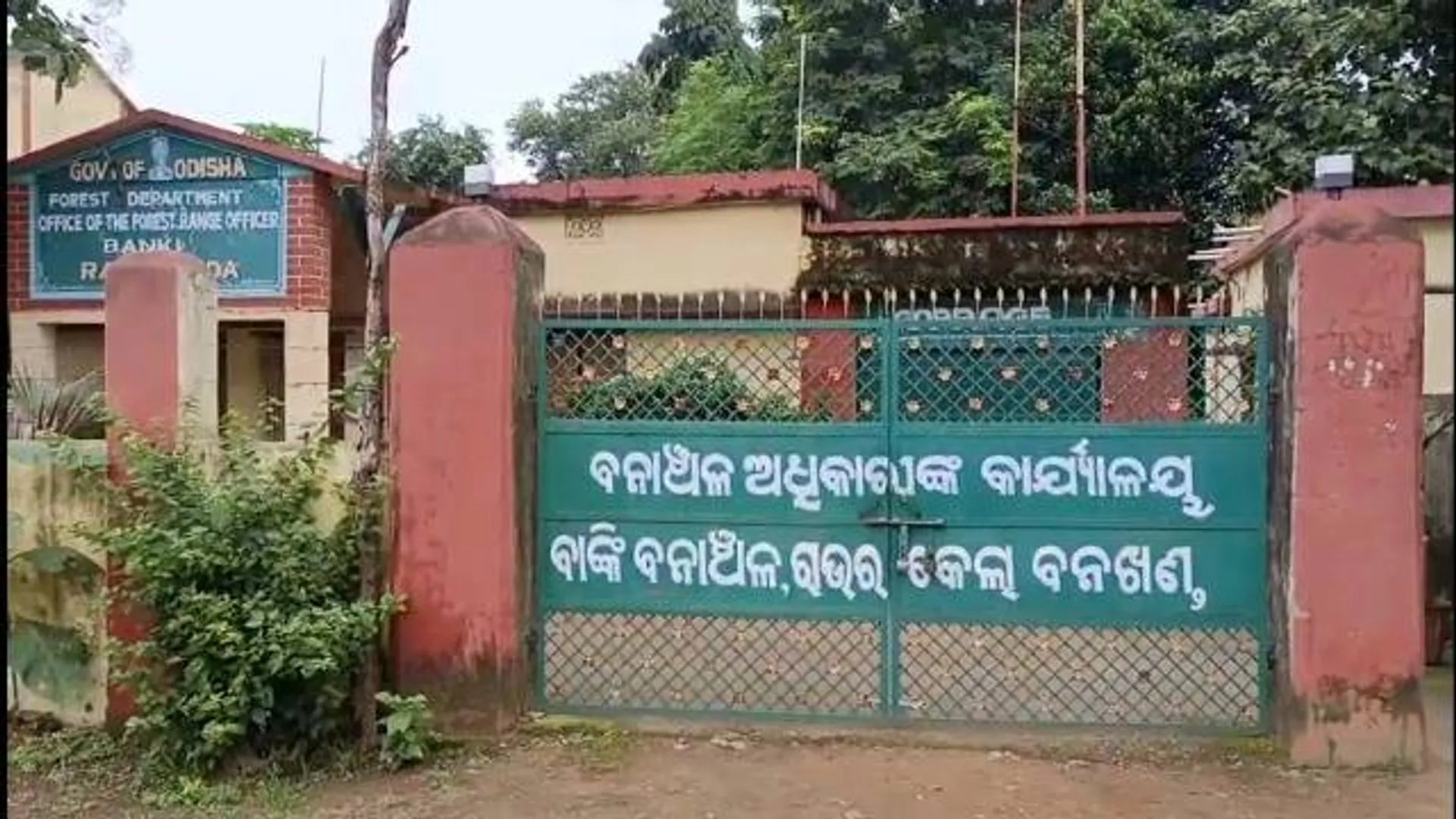 ୨ ହାତୀଦାନ୍ତ ଜବତ, ୧୦ ଗିରଫ, ଗ୍ୟାଙ୍ଗ୍‌ର ୪ରୁ ଅଧିକ ଫେରାର୍