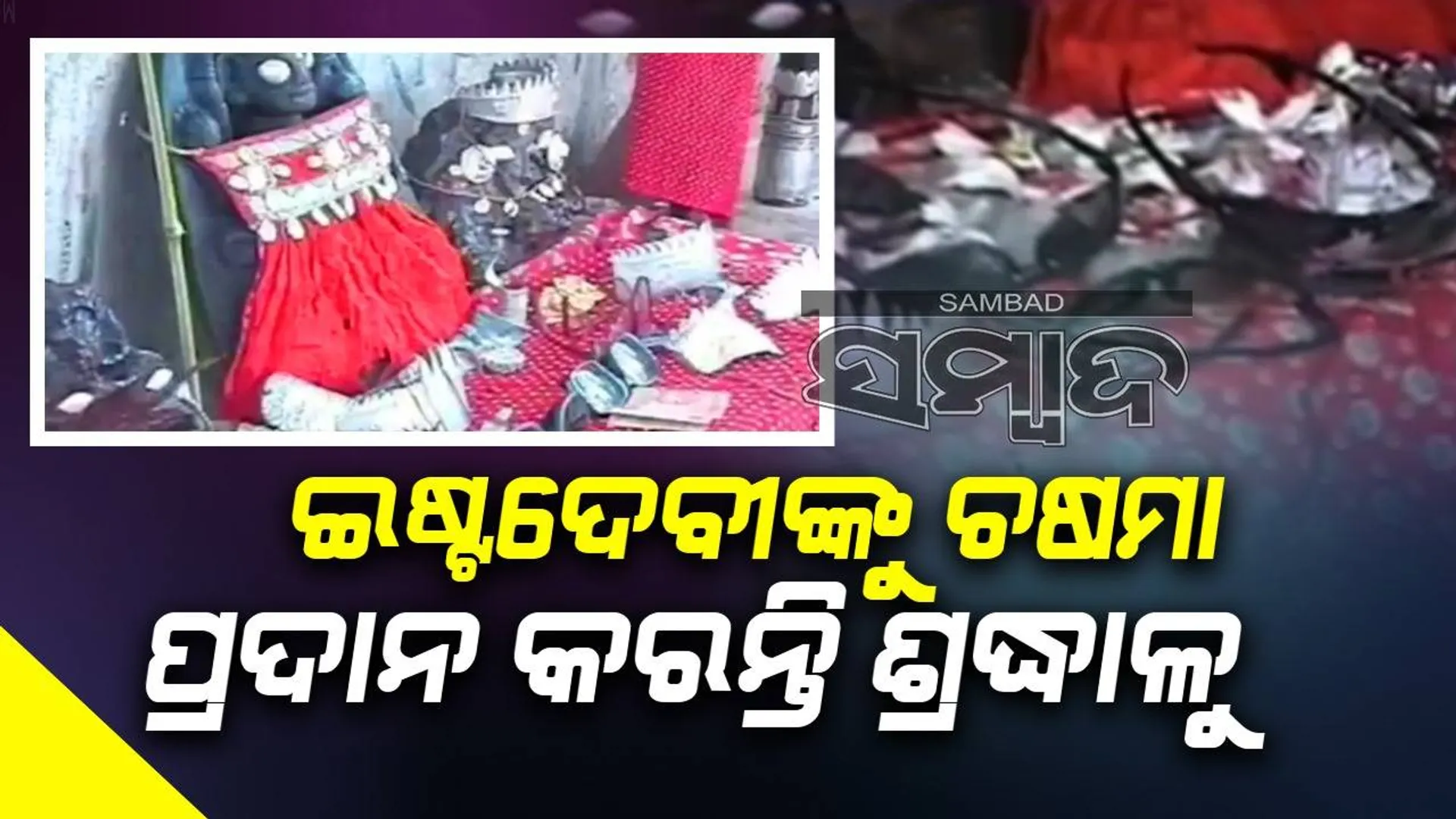 ଧ୍ରୁବ ଜନଜାତିର ଅଜବ ପରଂପରା: ୩ ବର୍ଷରେ ଥରେ ଇଷ୍ଟଦେବୀଙ୍କ ଯାତ୍ରା