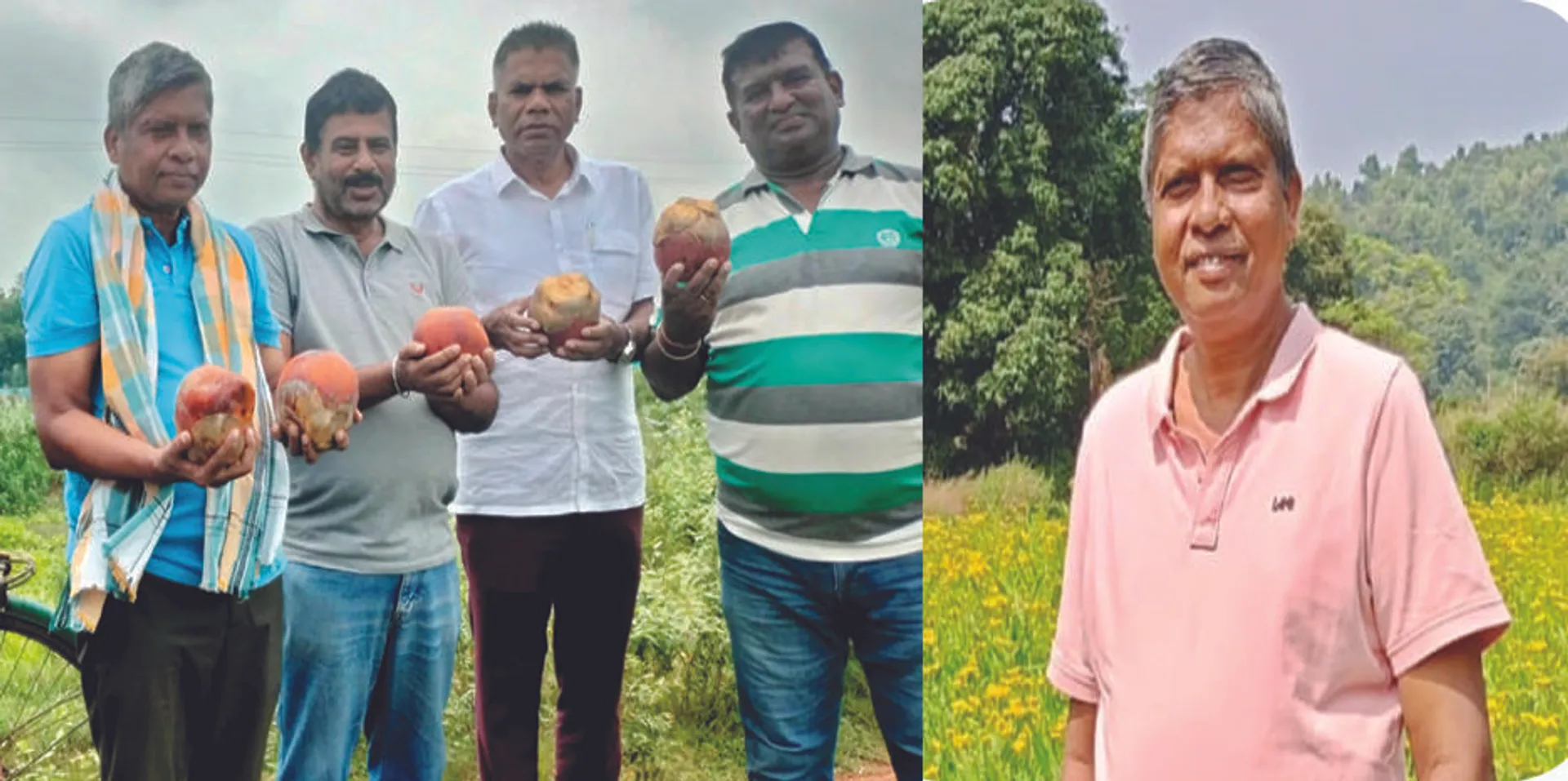 ପରିବେଶ ଯୋଦ୍ଧା: ତାଳବଣ ବିକାଶ ନିଶାରେ ନିଧି