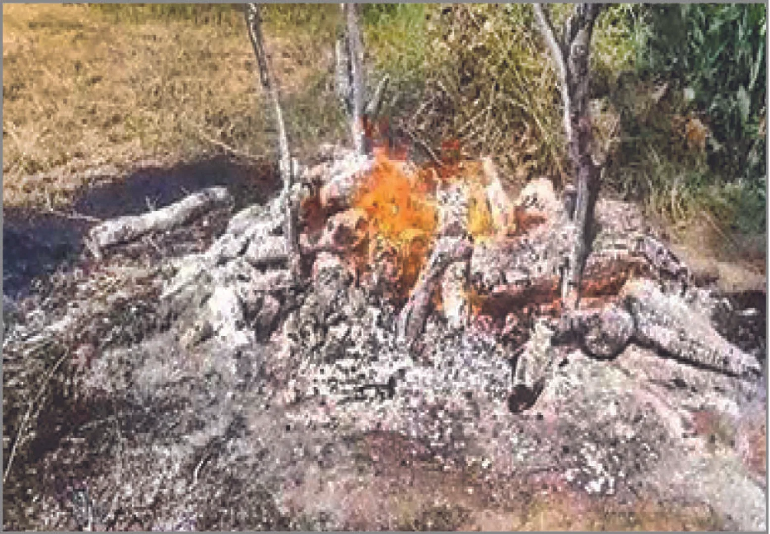 ଅଟୋଚାଳକଙ୍କୁ ହତ୍ୟା ମାମଲା: ଭୋଟ୍‌ ସହ ସମ୍ପର୍କ ଅଛି ନା ନାହିଁ?