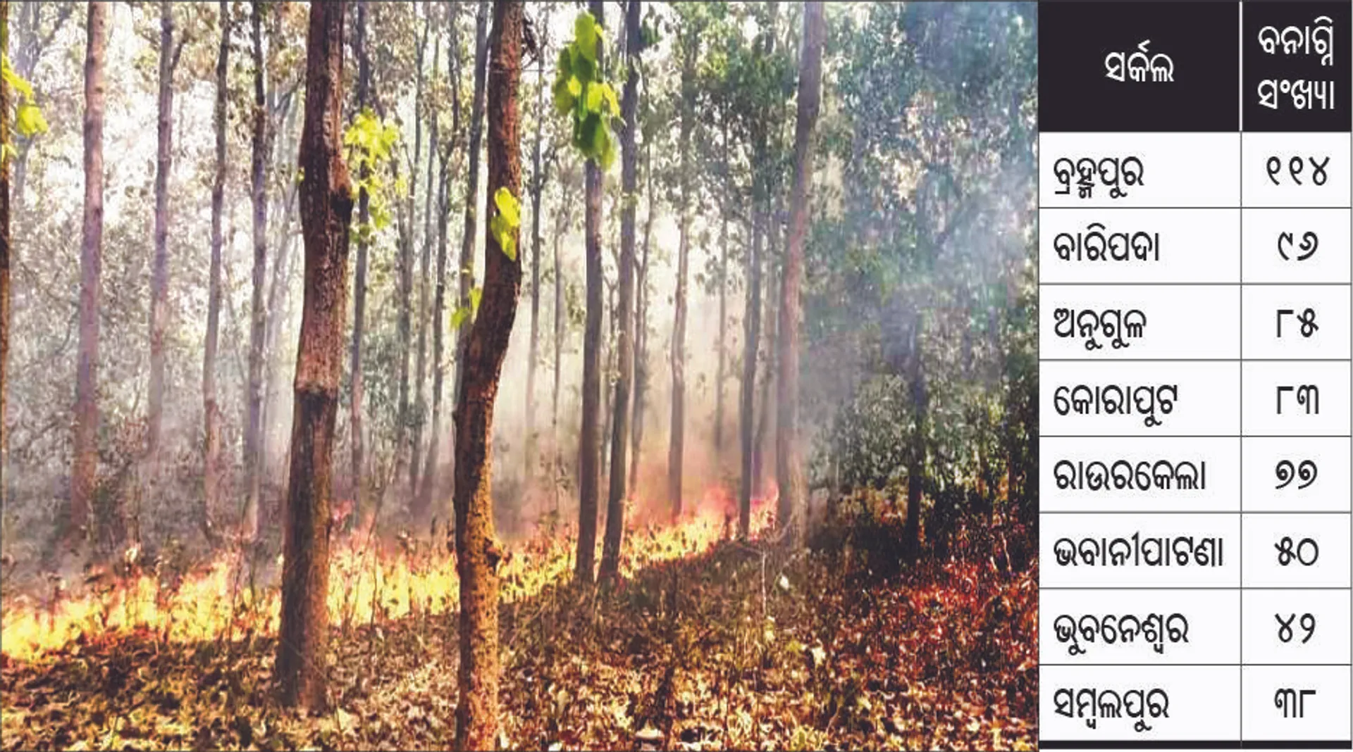 ୫୭୯ ସ୍ଥାନରେ ଜଙ୍ଗଲ ଜଳୁଛି: ବ୍ରହ୍ମପୁର, ବାରିପଦା ସର୍କଲରେ ଅଧିକ, ଦେଶରେ ୨୬୯ ବନାଗ୍ନି, ଓଡ଼ିଶାରେ ୫୪
