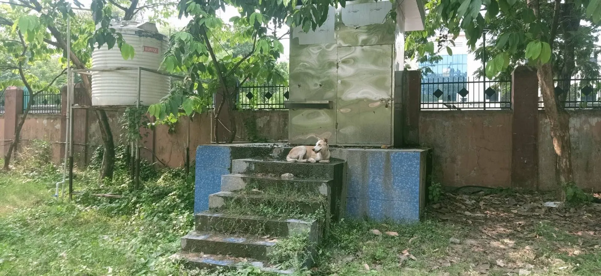 ରକ୍ଷଣାବେକ୍ଷଣକୁ ଭୁଲିଗଲା ଆର୍‌ଏମ୍‌ସି