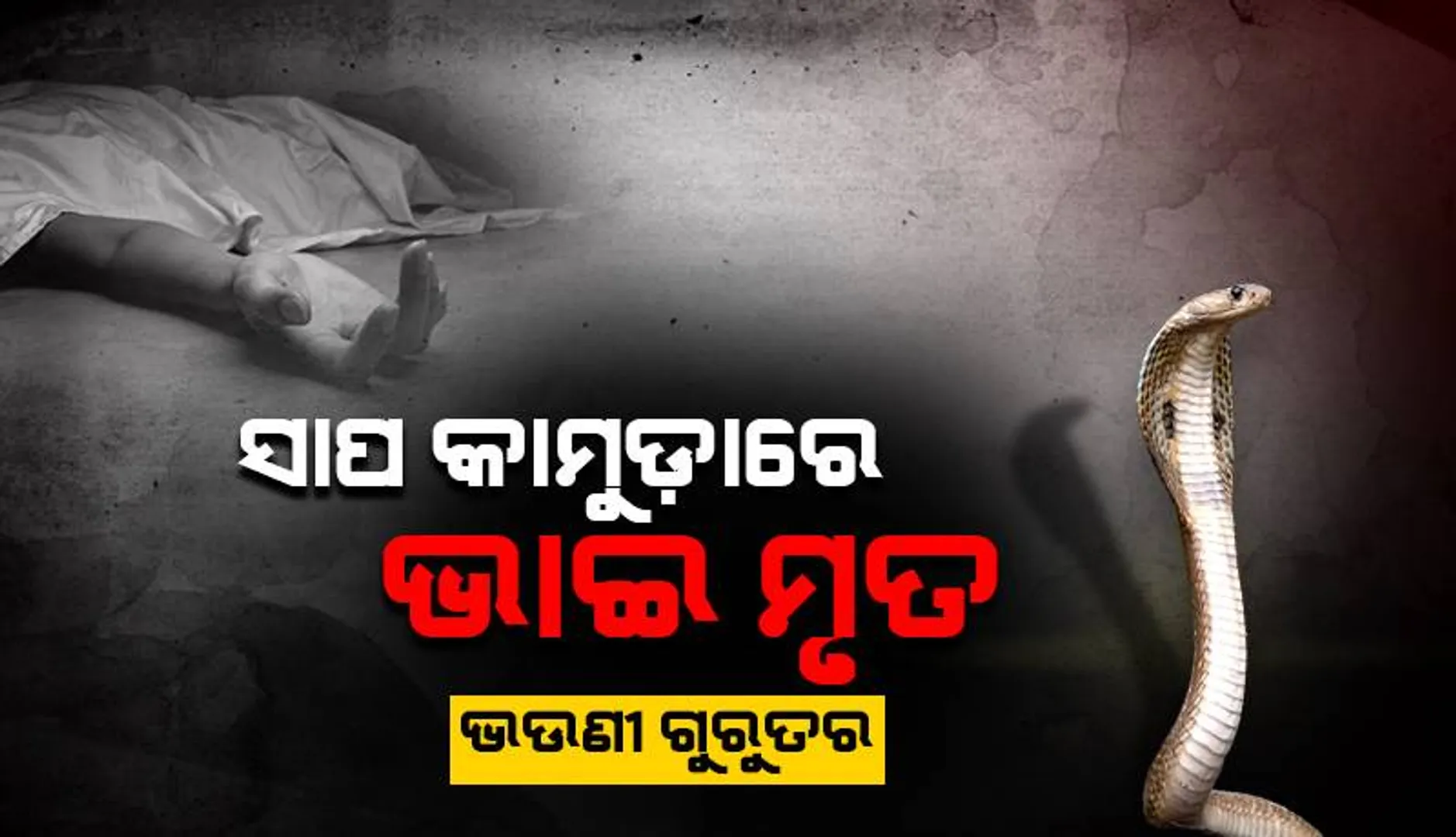 ସାପ କାମୁଡ଼ାରେ ଭାଇ ମୃତ, ଭଉଣୀ ଗୁରୁତର