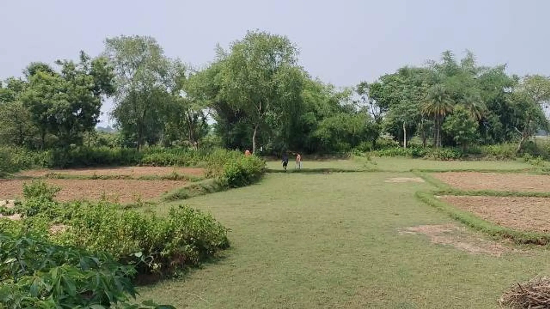 ଖଇରା ଅଞ୍ଚଳରେ ବାଘ ଆତଙ୍କ, ଆକ୍ରମଣରେ ୪ ଗୁରୁତର ଅବସ୍ଥାରେ ମେଡ଼ିକାଲରେ ଭର୍ତ୍ତି