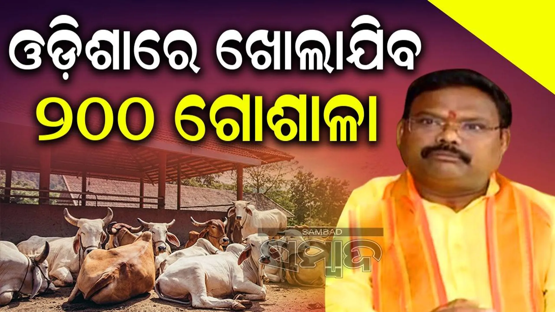 ଗୋଚାଲାଣକାରୀଙ୍କ ଉପରେ କଠୋର କାର୍ଯ୍ୟାନୁଷ୍ଠାନ ନିଆଯିବ: ରାଜ୍ୟ ମତ୍ସ୍ୟ ଓ ପଶୁ ସମ୍ପଦ ମନ୍ତ୍ରୀ ଗୋକୁଳାନନ୍ଦ ମଲ୍ଲିକ