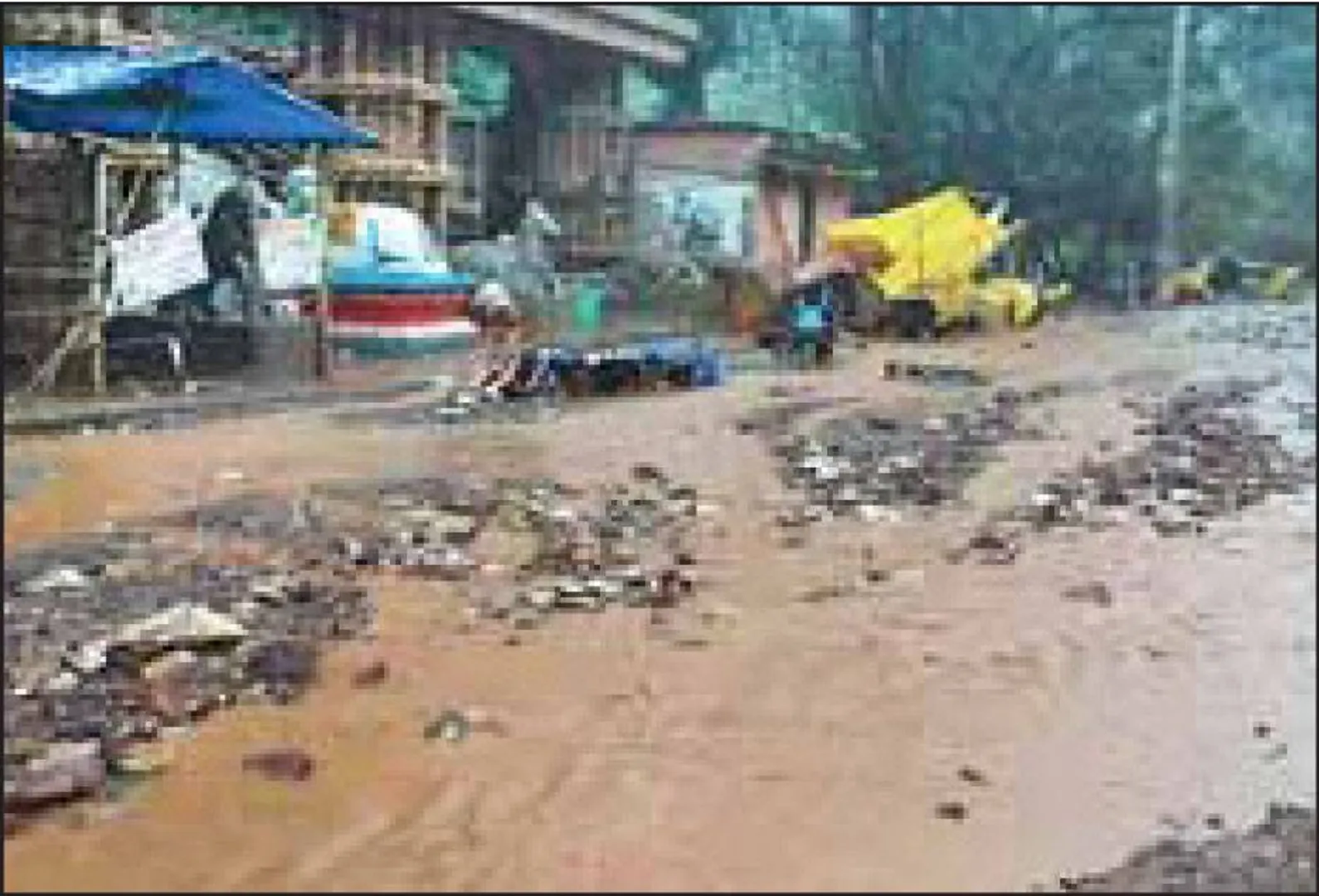 ବର୍ଷାରେ ଫୁଲୁଛି ସାବେରୀ
