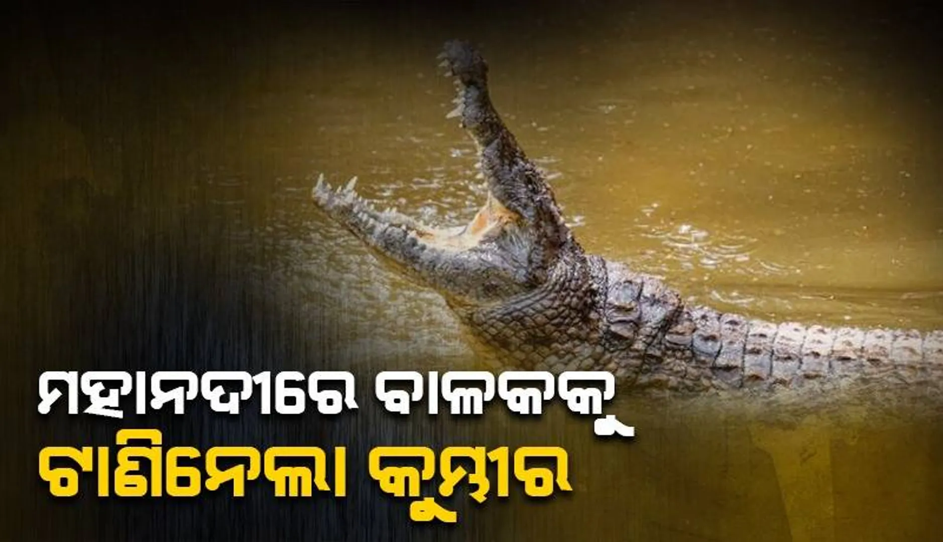 ଗାଧୋଇଲା ବେଳେ ନାବାଳକକୁ ଆକ୍ରମଣ କଲା କୁମ୍ଭୀର, ଟିକରପଡ଼ା ନିକଟ ମହାନଦୀ କୂଳରୁ ମୃତଦେହ ଉଦ୍ଧାର