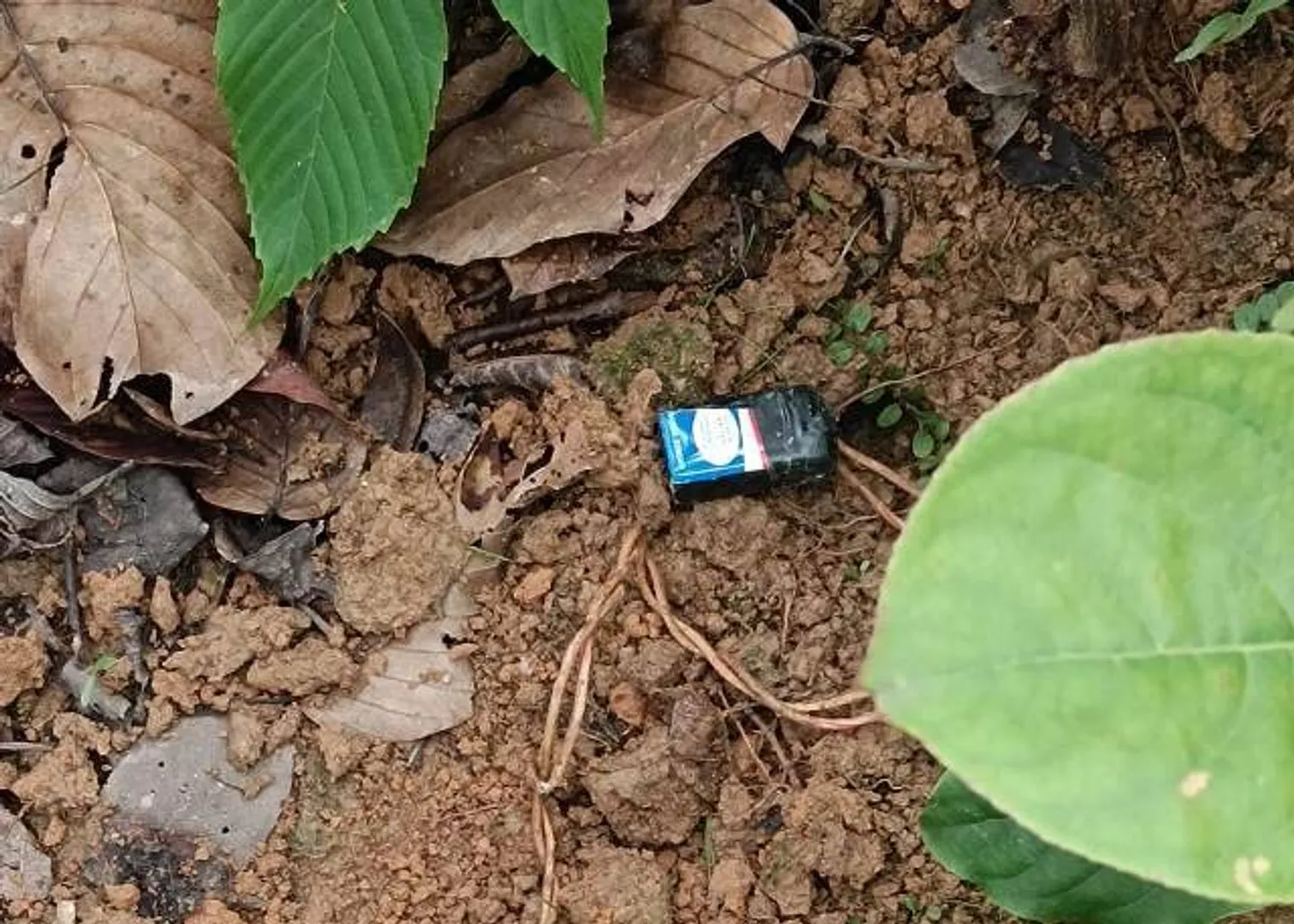 ସୀମାନ୍ତରୁ ପୁଣି ଲ୍ୟାଣ୍ଡମାଇନ୍‌ ଜବତ