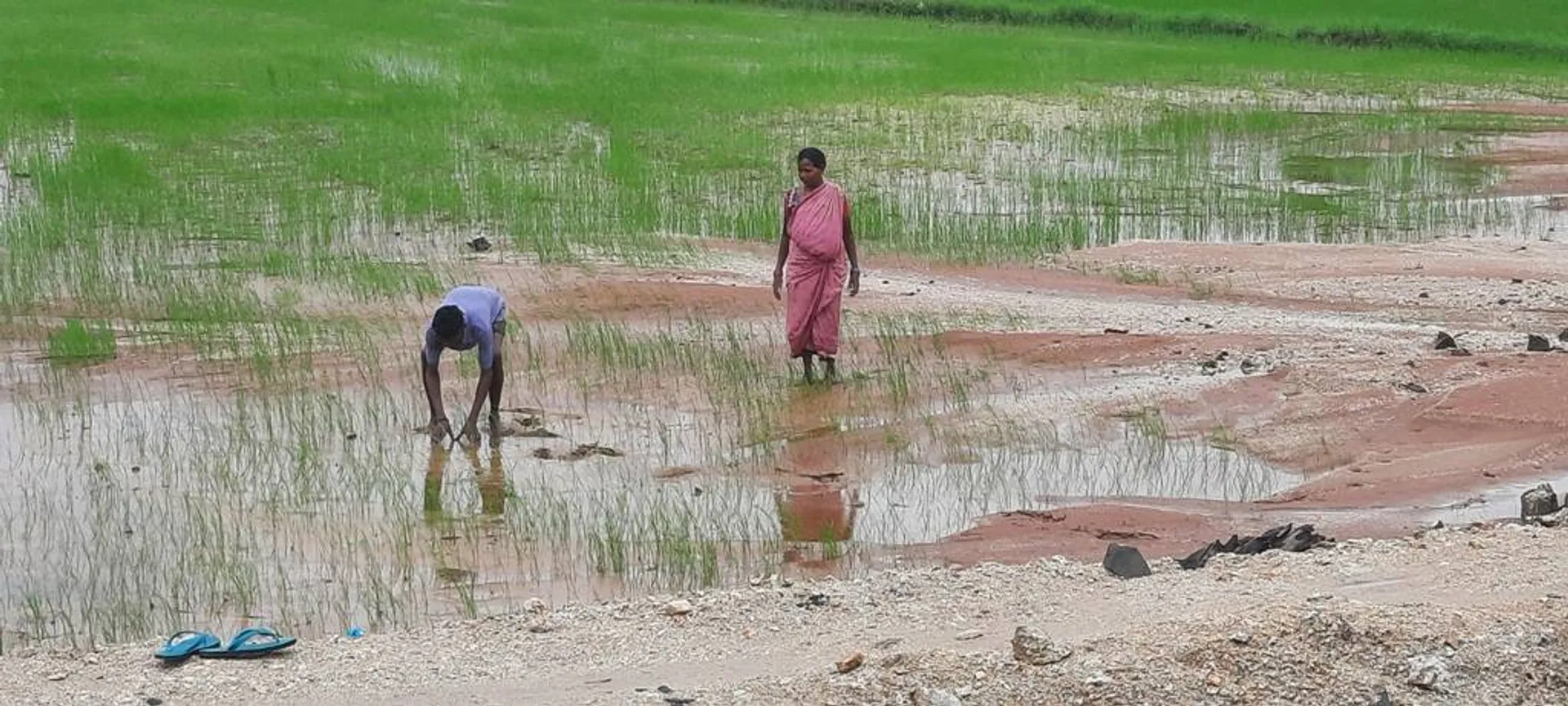 ବର୍ଷାରେ ବେହାଲ ବିମାନବନ୍ଦର: ଝରଣା ଫୁଟି ବିରାଟ ଘାଇ, ଜମିରେ ବାଲି ଚରିଲା