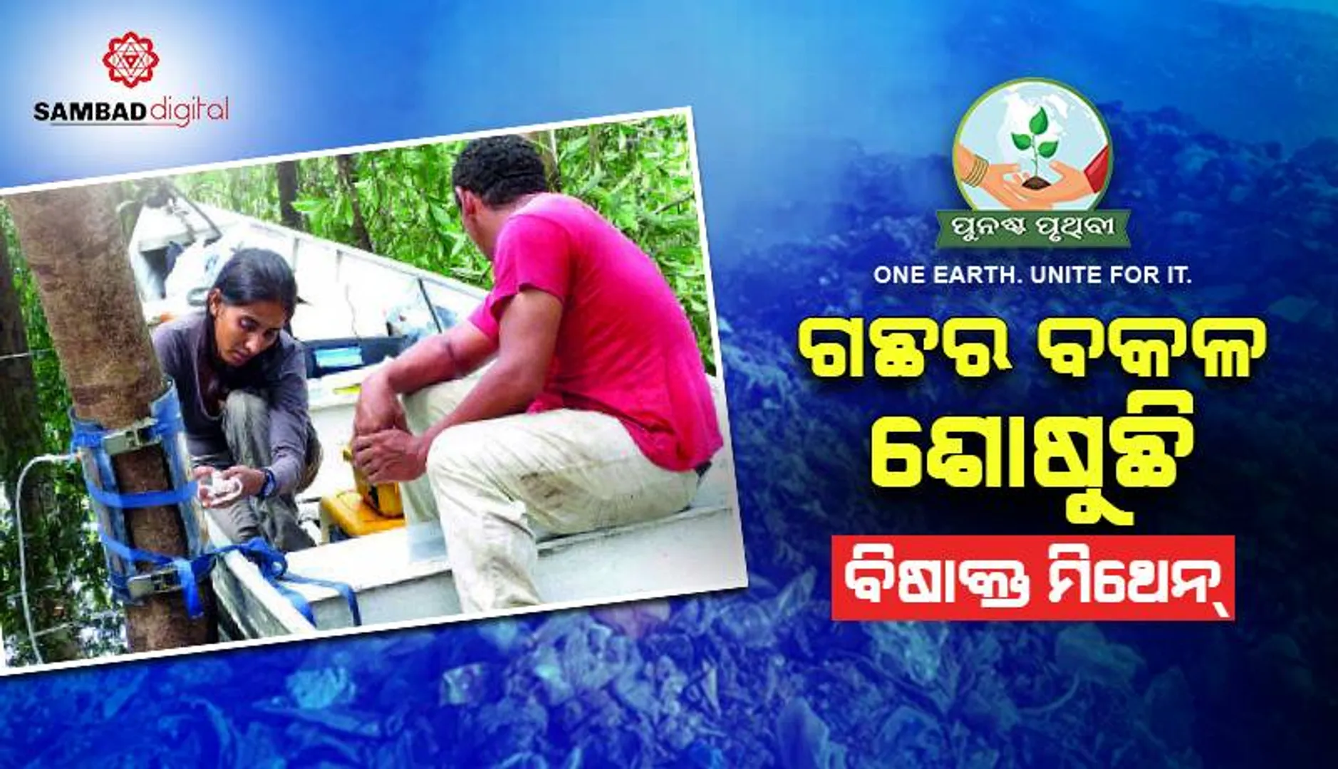 ଗଛର ବକଳ ଶୋଷୁଛି ବିଷାକ୍ତ ମିଥେନ୍‌