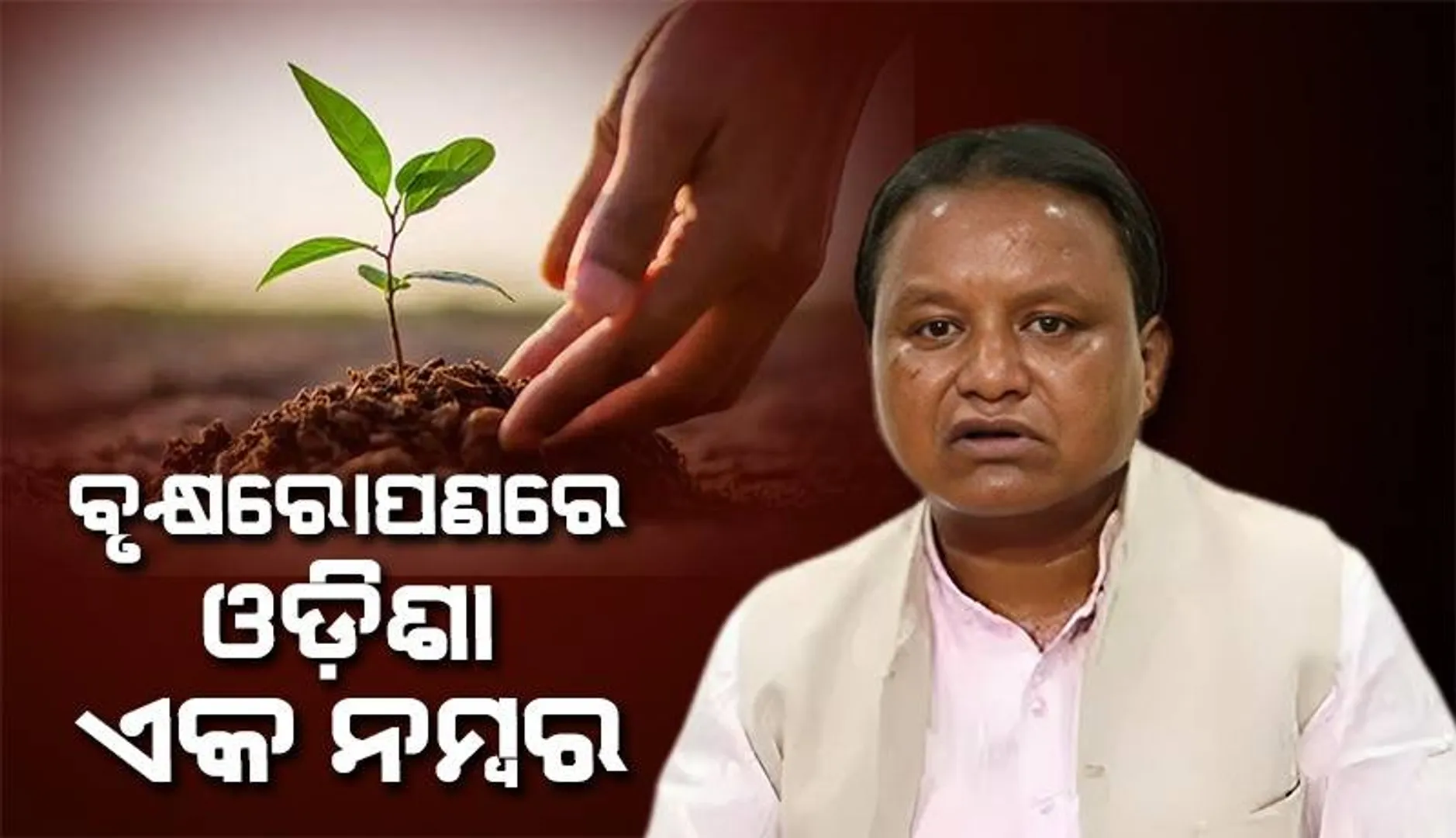 ଏ ବର୍ଷ ରାଜ୍ୟରେ ଲାଗିବ ୫ କୋଟି ଗଛ: ମୁଖ୍ୟମନ୍ତ୍ରୀ ମୋହନ ଚରଣ ମାଝୀ