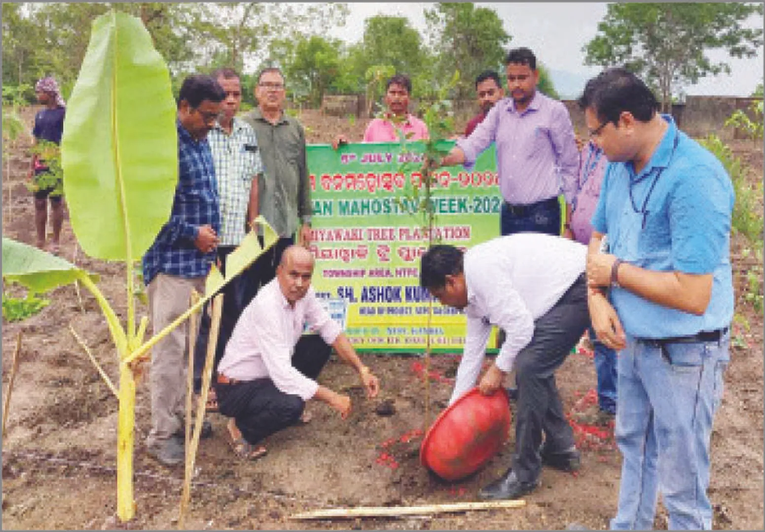 ଗଛ ଲଗାଇବାକୁ ଓଏଫ୍‌ଡିସିର ନୂଆ କୌଶଳ: ଅଳ୍ପ ଜମିରେ ଲାଗିବ ଅଧିକ ଗଛ