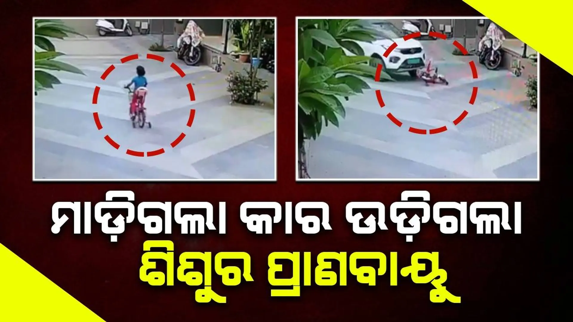 ଘରେ ସାମ୍ନାରେ ସାଇକେଲ ଚଲାଉଥିବା ବେଳେ ମାଡ଼ିଗଲା କାର ଆଖିପିଛୁଳାକେ ଉଡ଼ିଗଲା ଶିଶୁର ପ୍ରାଣବାୟୁ