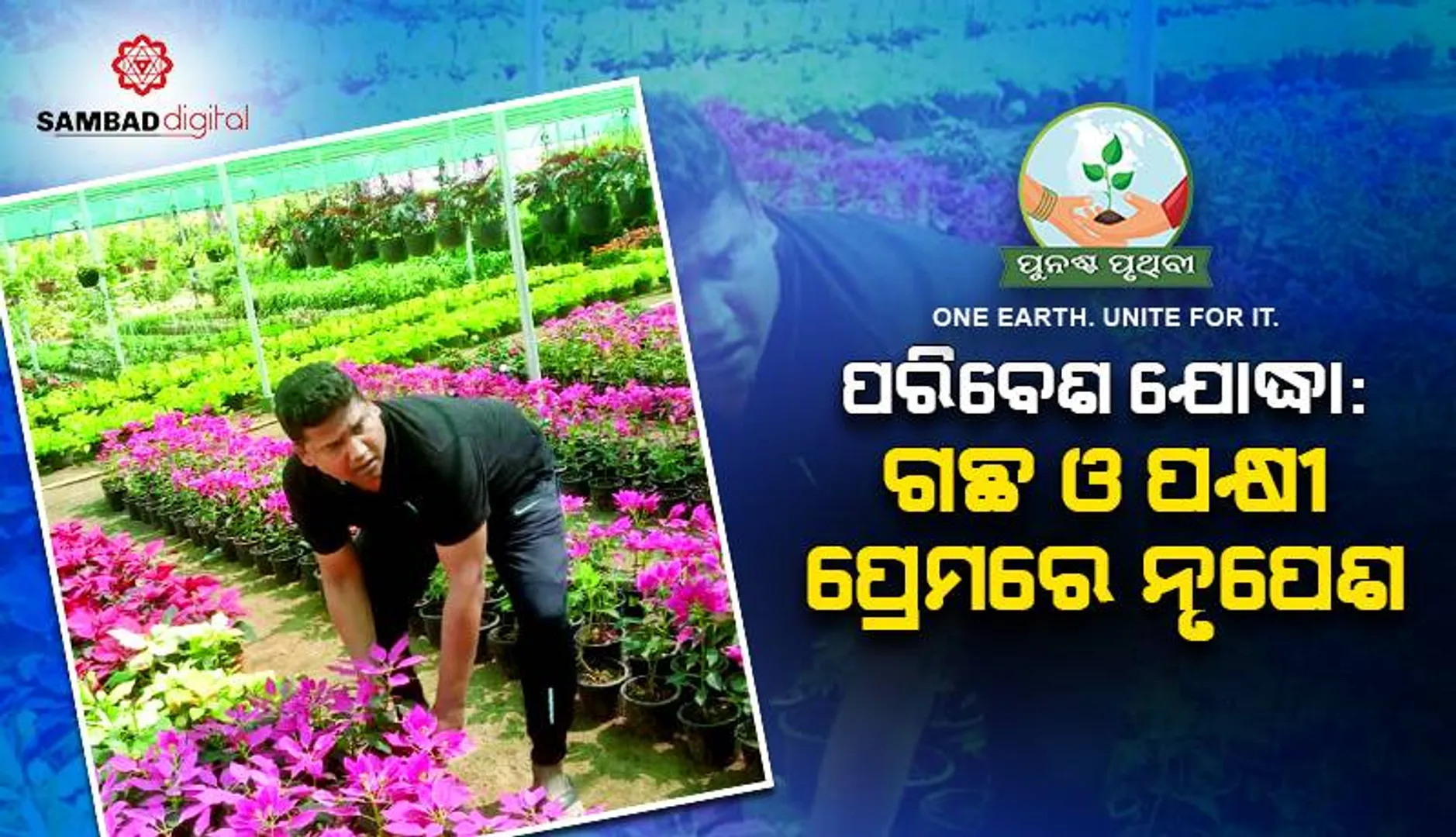 ପରିବେଶ ଯୋଦ୍ଧା: ଗଛ ଓ ପକ୍ଷୀ ପ୍ରେମରେ ନୃପେଶ