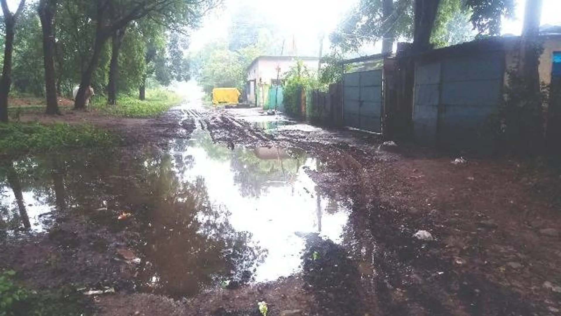 ନାଳ,ବୁଦା ସଫେଇ ହେଉନି: ଆର୍‌ଏସ୍‌ପିର ଚିରାଚରିତ ଅବହେଳାର ଅନ୍ତ କେବେ?