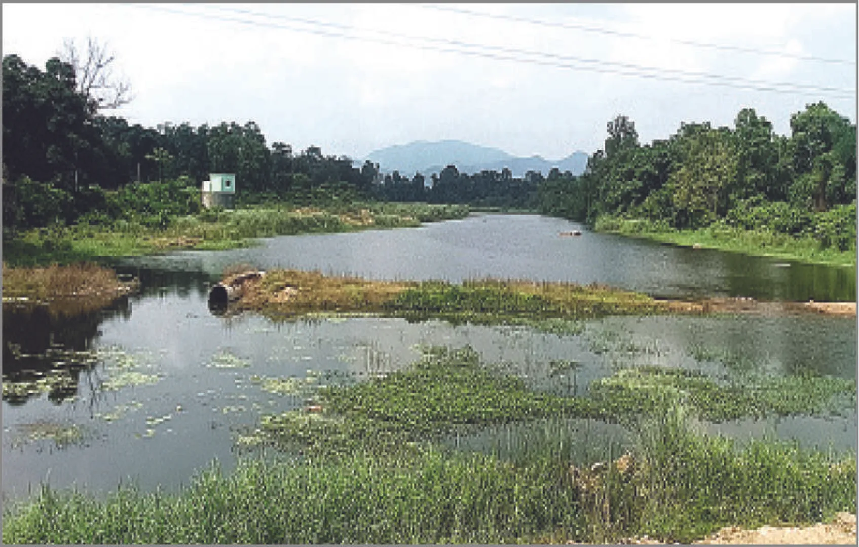 ସତ୍ତା ହରାଇବ ‘ବାହୁଦା’: ଲୁଟୁଛନ୍ତି ବାଲି ମାଫିଆ, ନଦୀଶଯ୍ୟାରେ ଗଛଲତା ଭର୍ତ୍ତି