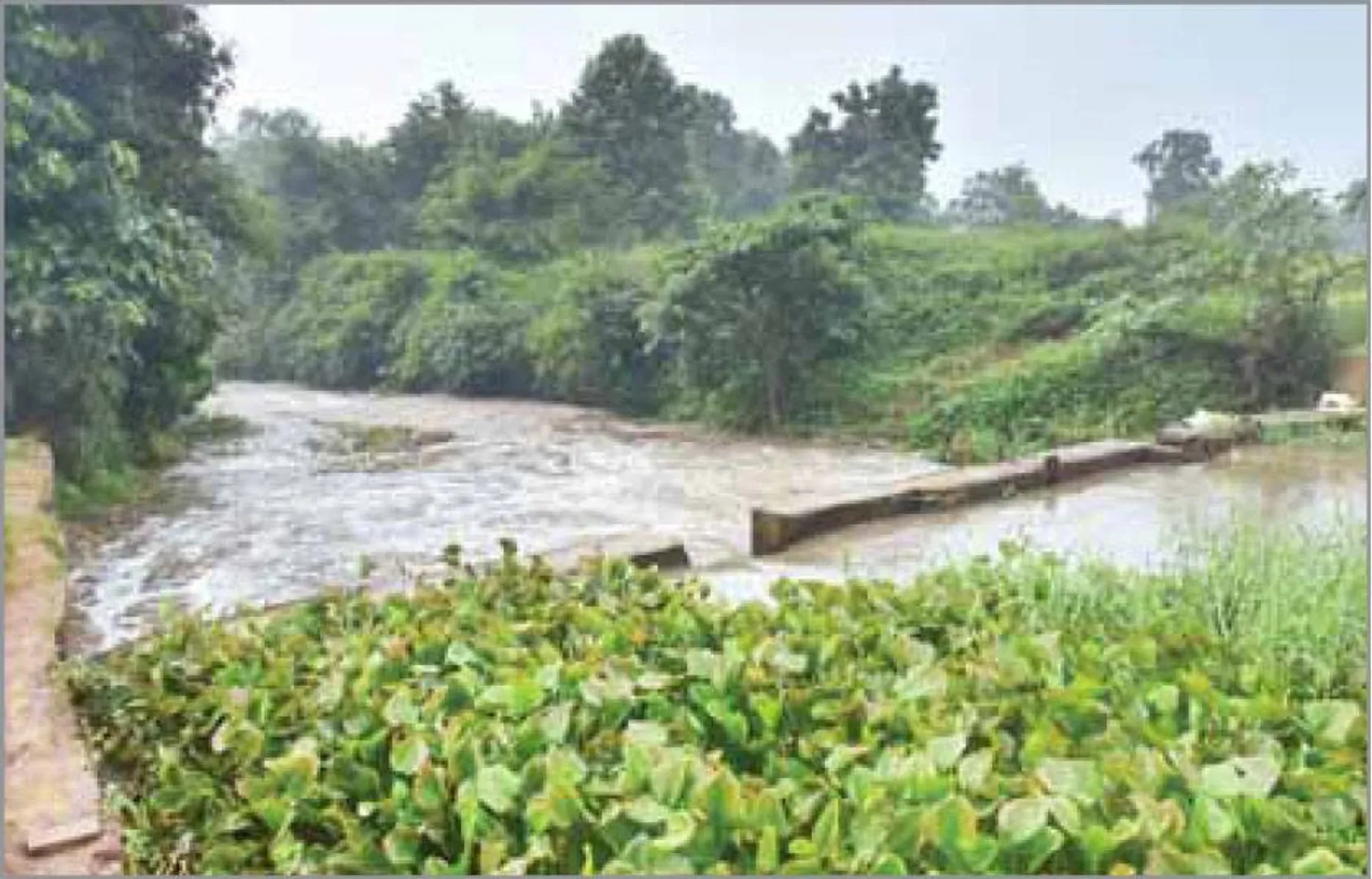 ପ୍ରଦୂଷିତ ହେଉଛି ବ୍ରାହ୍ମଣୀ ଓ କୋଏଲ: ପାର୍ଶ୍ବବର୍ତ୍ତୀ ଗ୍ରାମବାସୀଙ୍କ ଜୀବନ ପ୍ରତି ବିପଦ