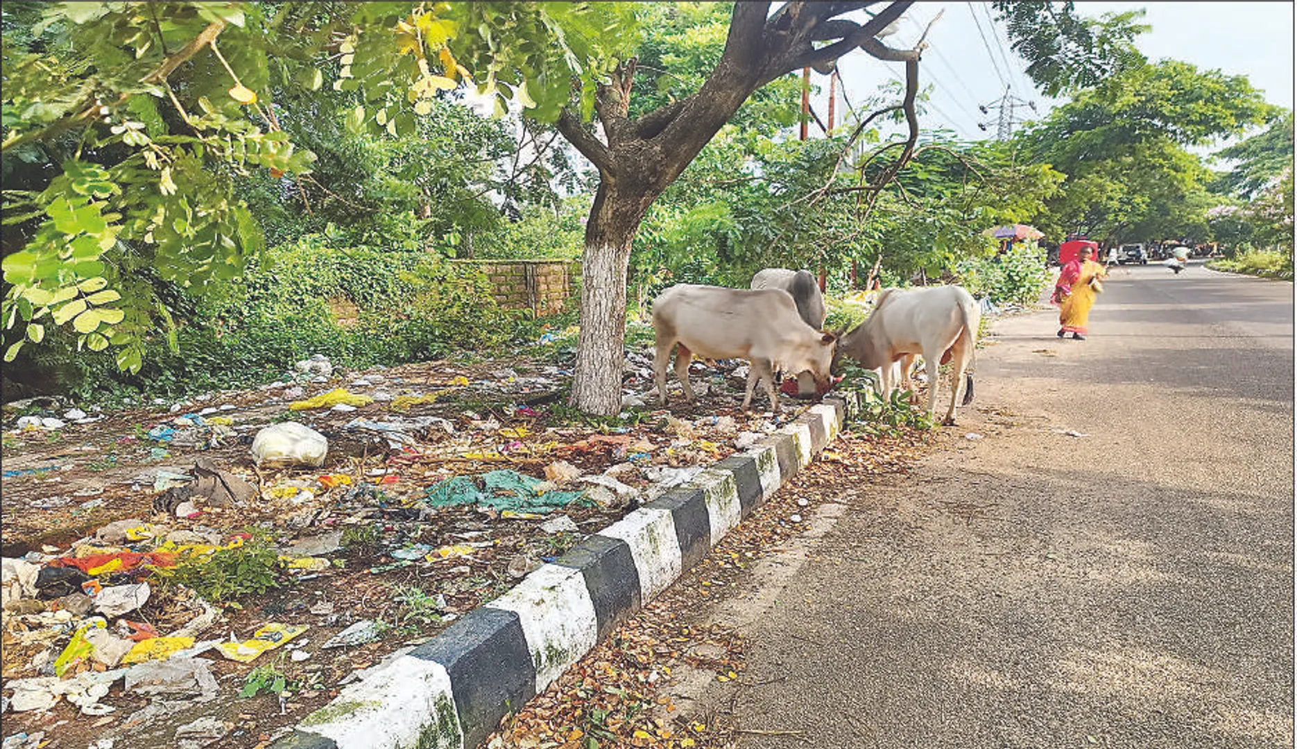 ଏମ୍‌ସ ରାସ୍ତାରେ ଆବର୍ଜନା ଯନ୍ତ୍ରଣା: ସୀମା ବିବାଦରୁ ସଫେଇ ଠପ୍‌