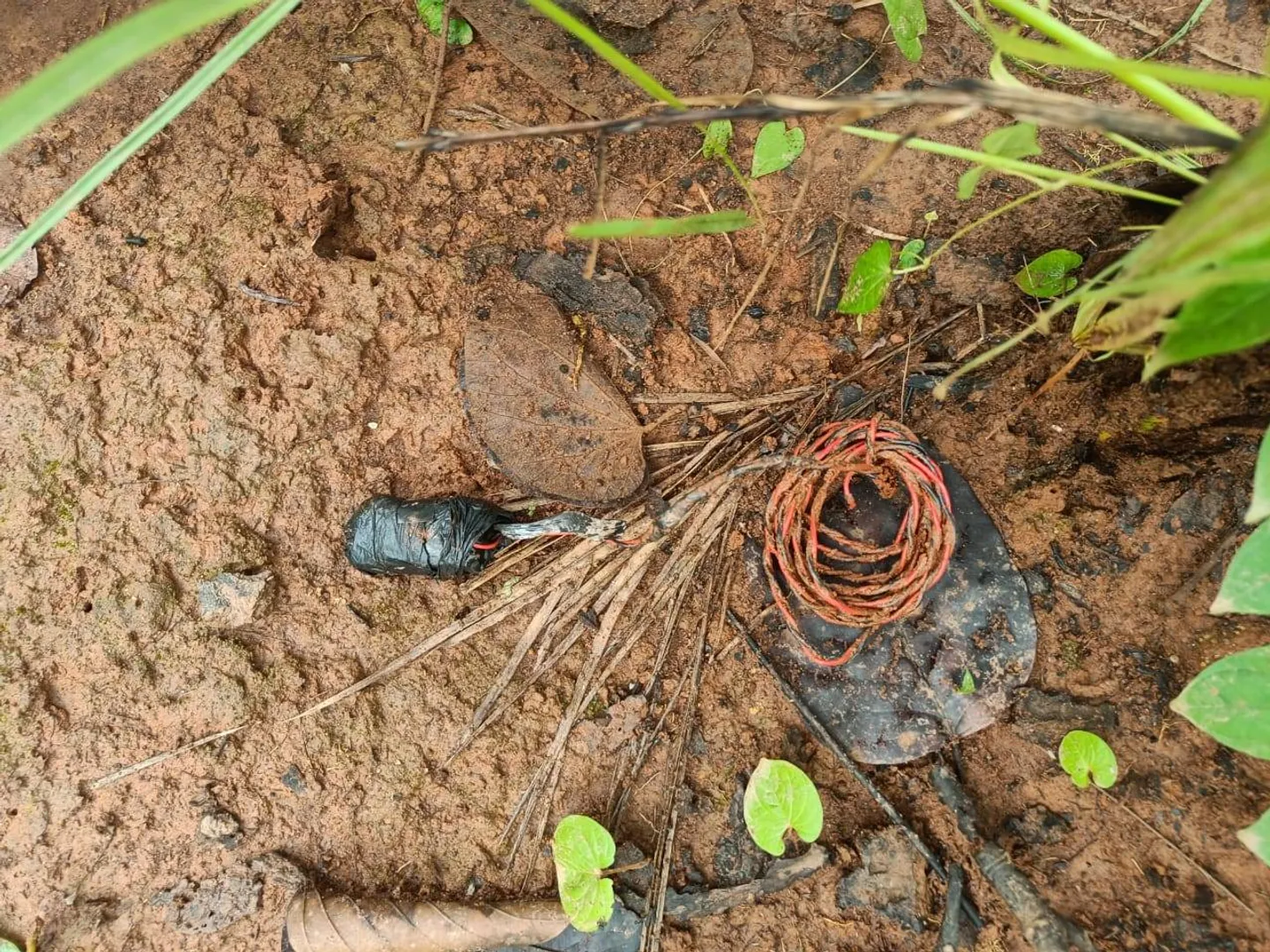 ଲ୍ୟାଣ୍ଡମାଇନ୍‌ ବିସ୍ଫୋରଣ, ଯବାନ ଆହତ