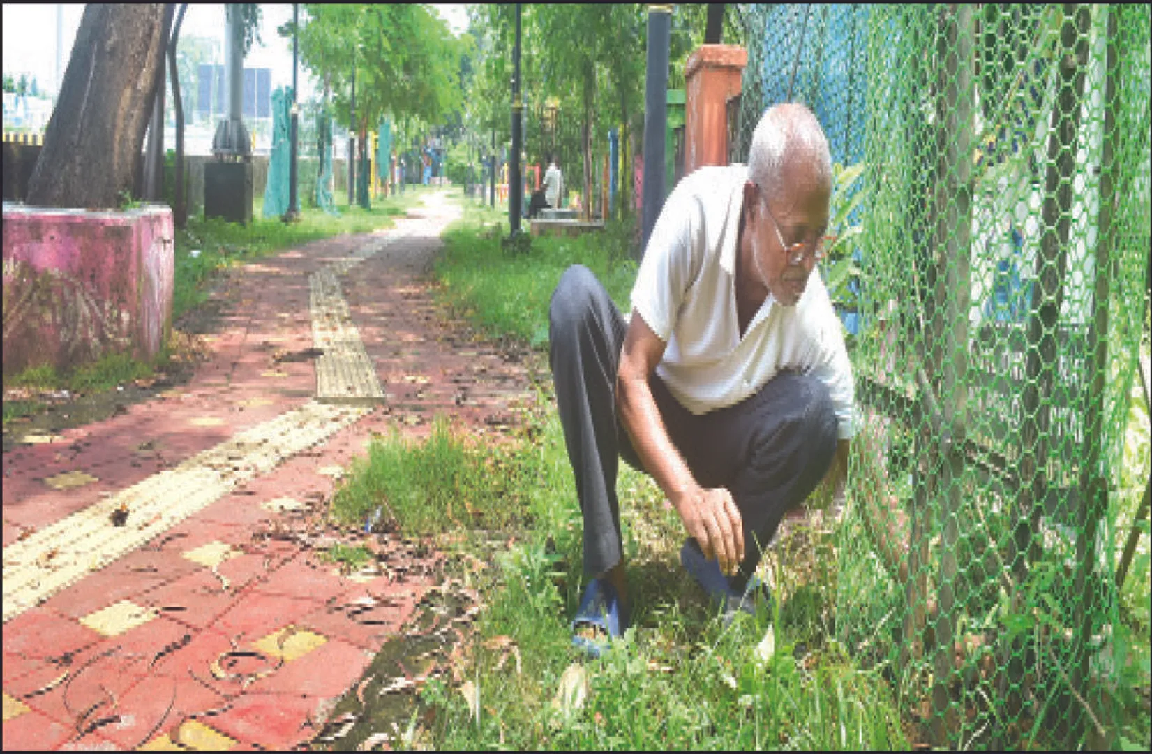 ଗଛ ମଣିଷ ଗୋବିନ୍ଦ: ଲଗାଇଲେଣି ୧୦ ହଜାରରୁ ଅଧିକ ଚାରା