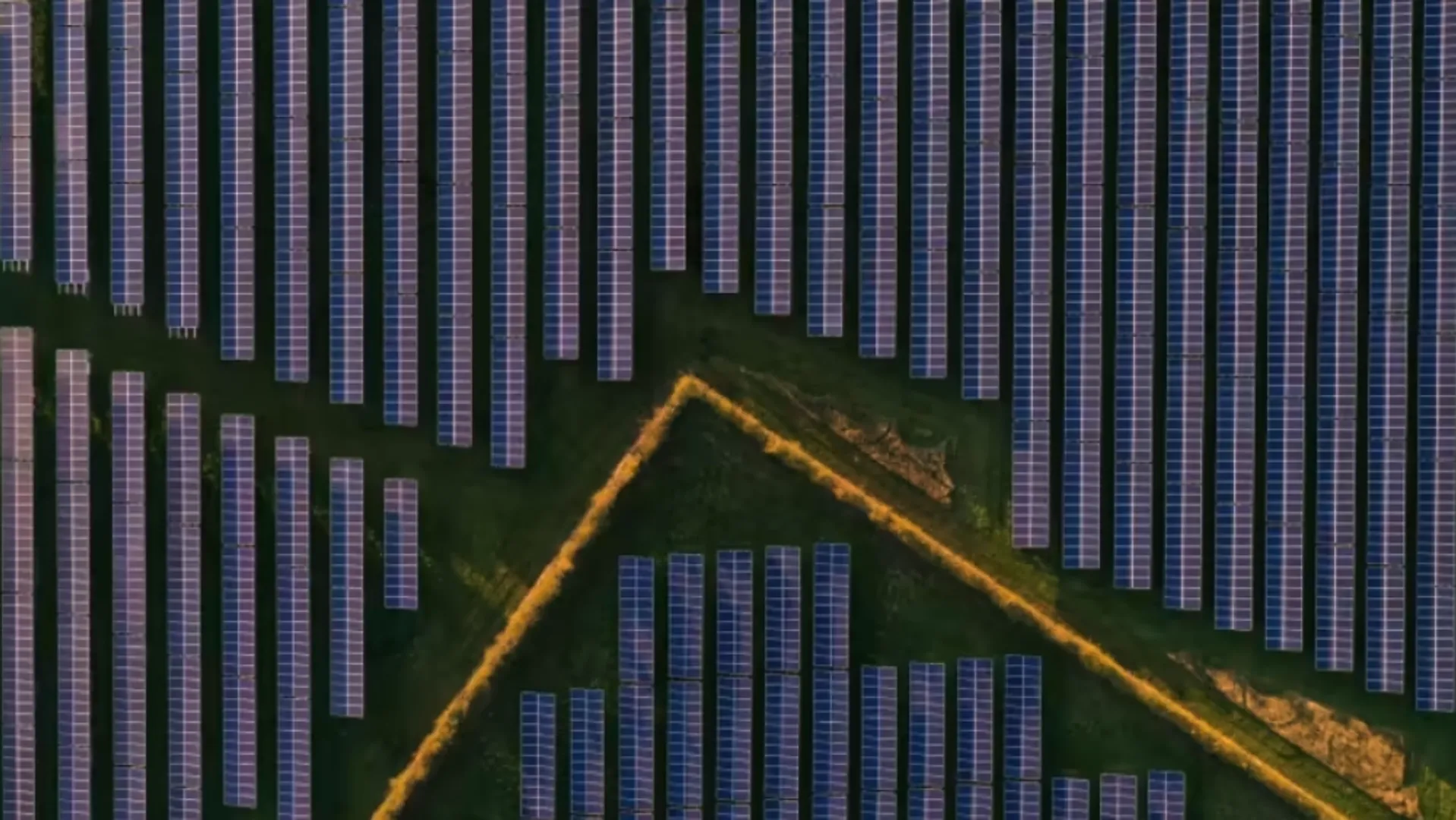 Cobholden Solar Farm will generate 49.9 MW and double biodiversity with tree planting, hedgerow enhancements, and wildflower areas