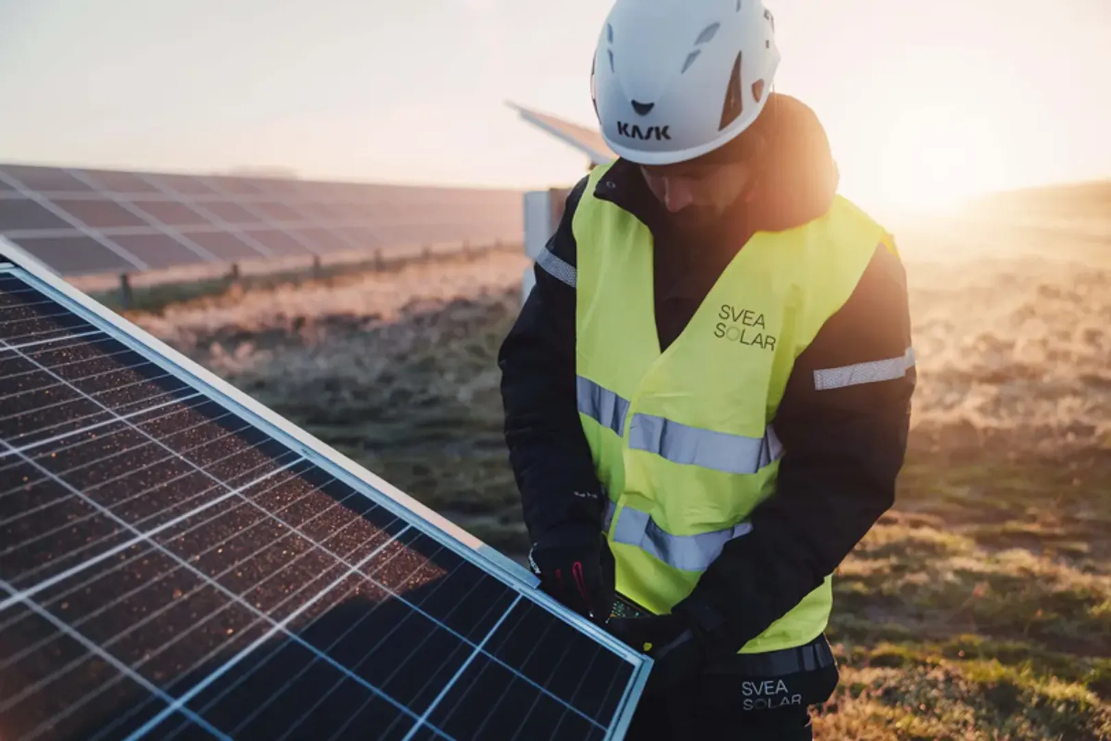 The planned 500 MW solar parks by Svea Solar on Stora Enso’s land can power 40,000 homes with minimal impact on nature and wildlife.