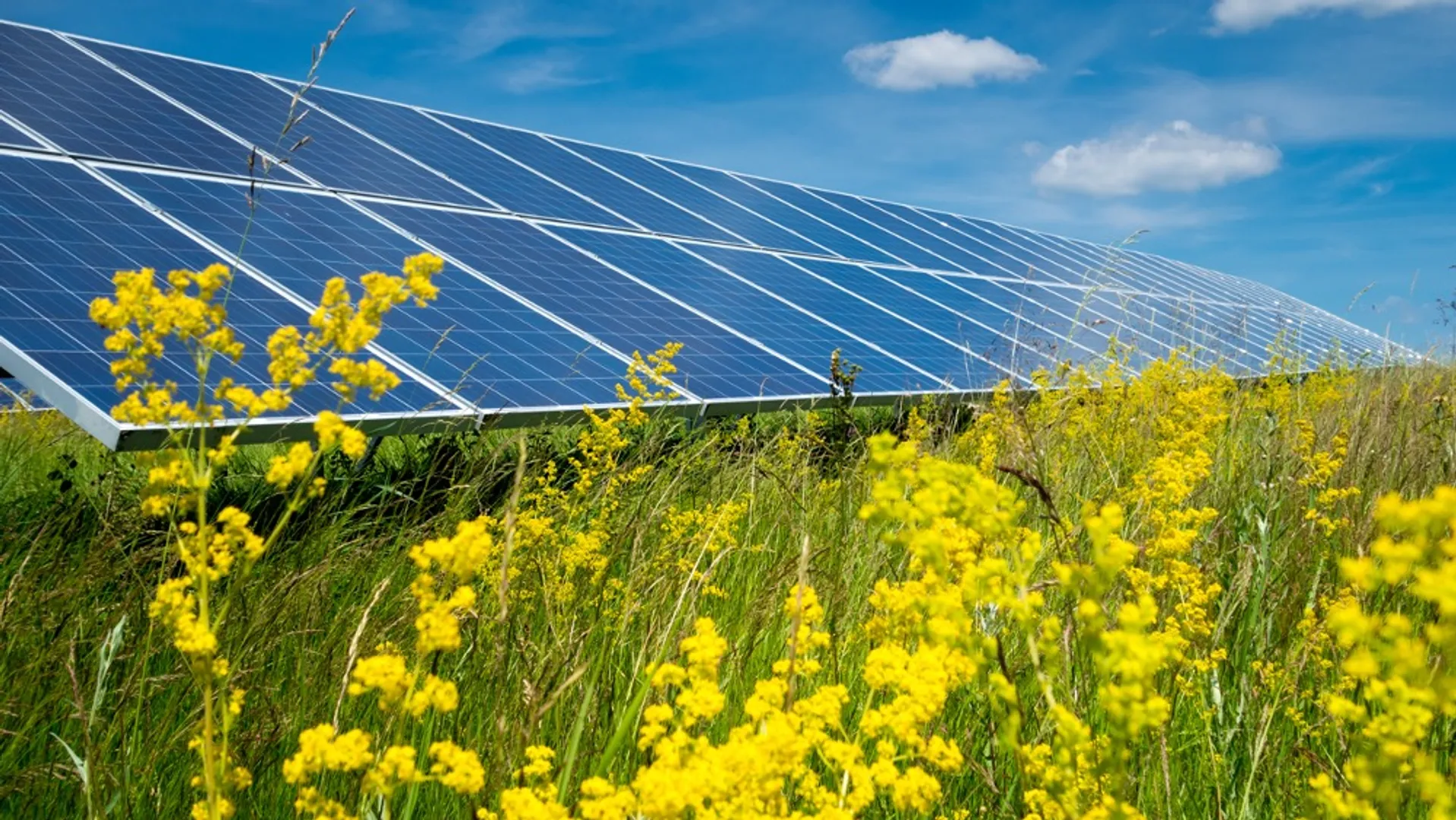 The Martin County Solar Project spans 1,200 acres of reclaimed coal mine land in eastern Kentucky. 
