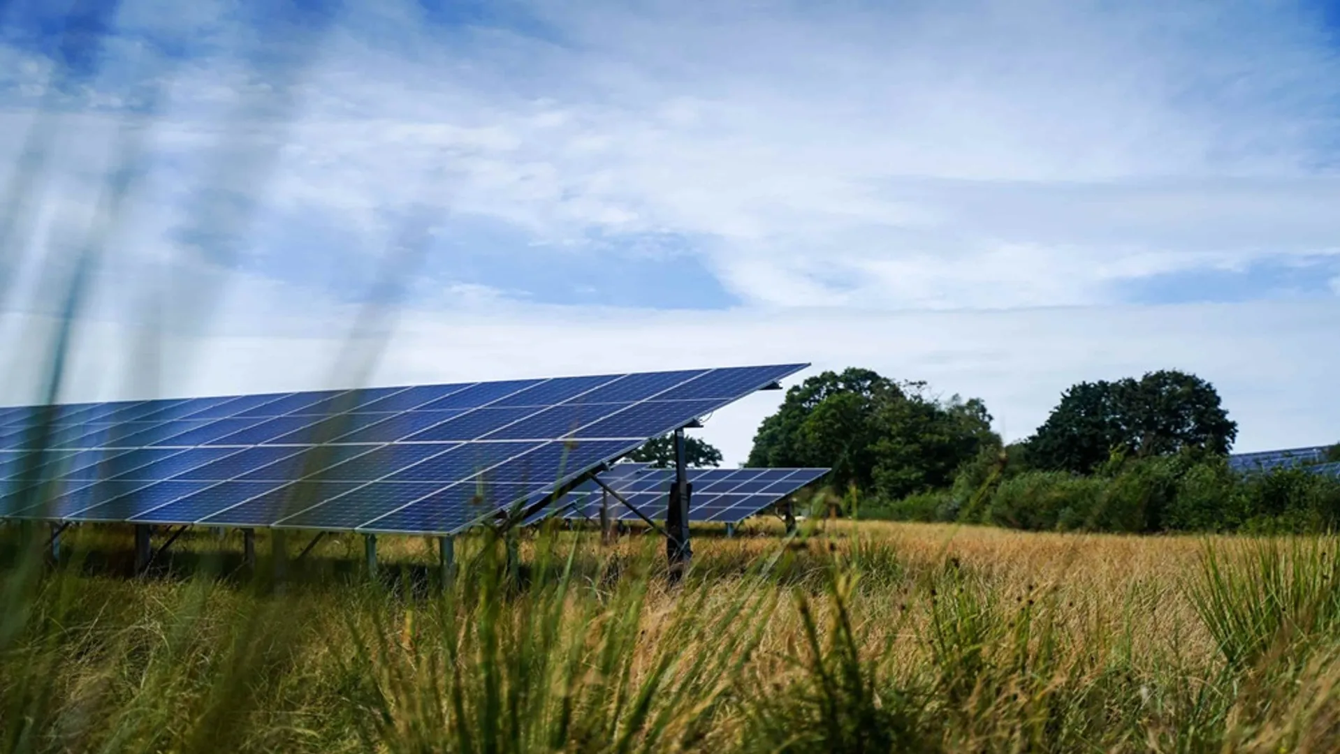 Burcot solar farm in South Oxfordshire has a combining 49.9 MW solar and storage capacity with 86.7% biodiversity net gain and sheep grazing. 
