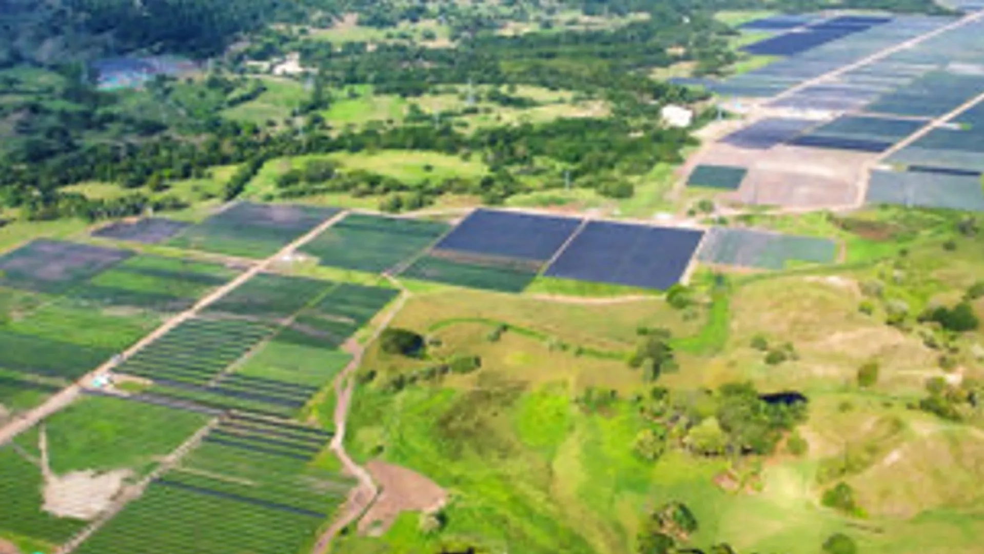 Statkraft’s sale follows its May 2024 acquisition of a 1.5 GW portfolio and aligns with its focus on core regional markets. 