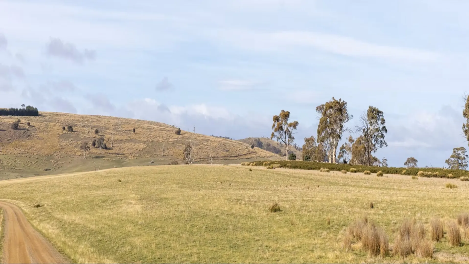 The Weasel Solar Farm project in Bothwell combines solar generation with sheep grazing to maintain agricultural land use.