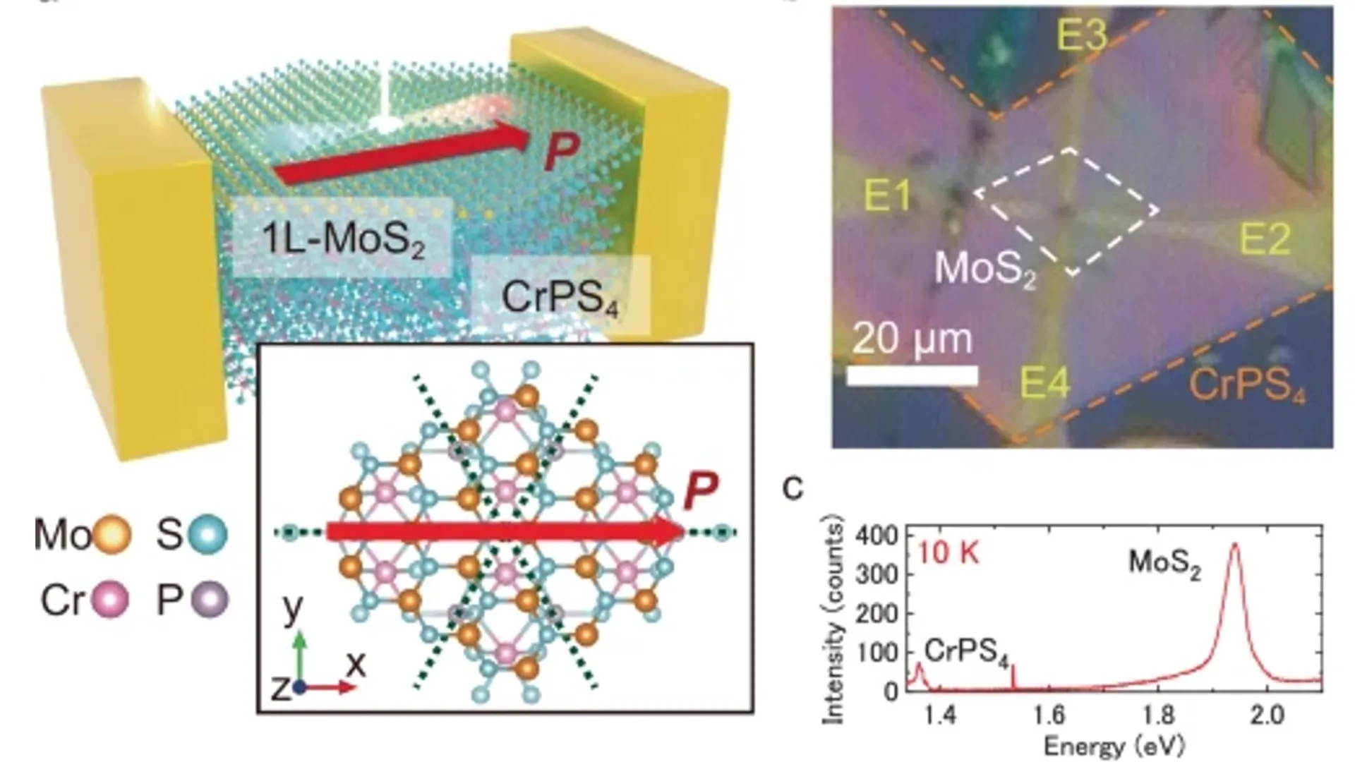 The MoS₂ and CrPS₄ heterostructure exhibited a spontaneous shift current linked to symmetry-breaking at the interface.