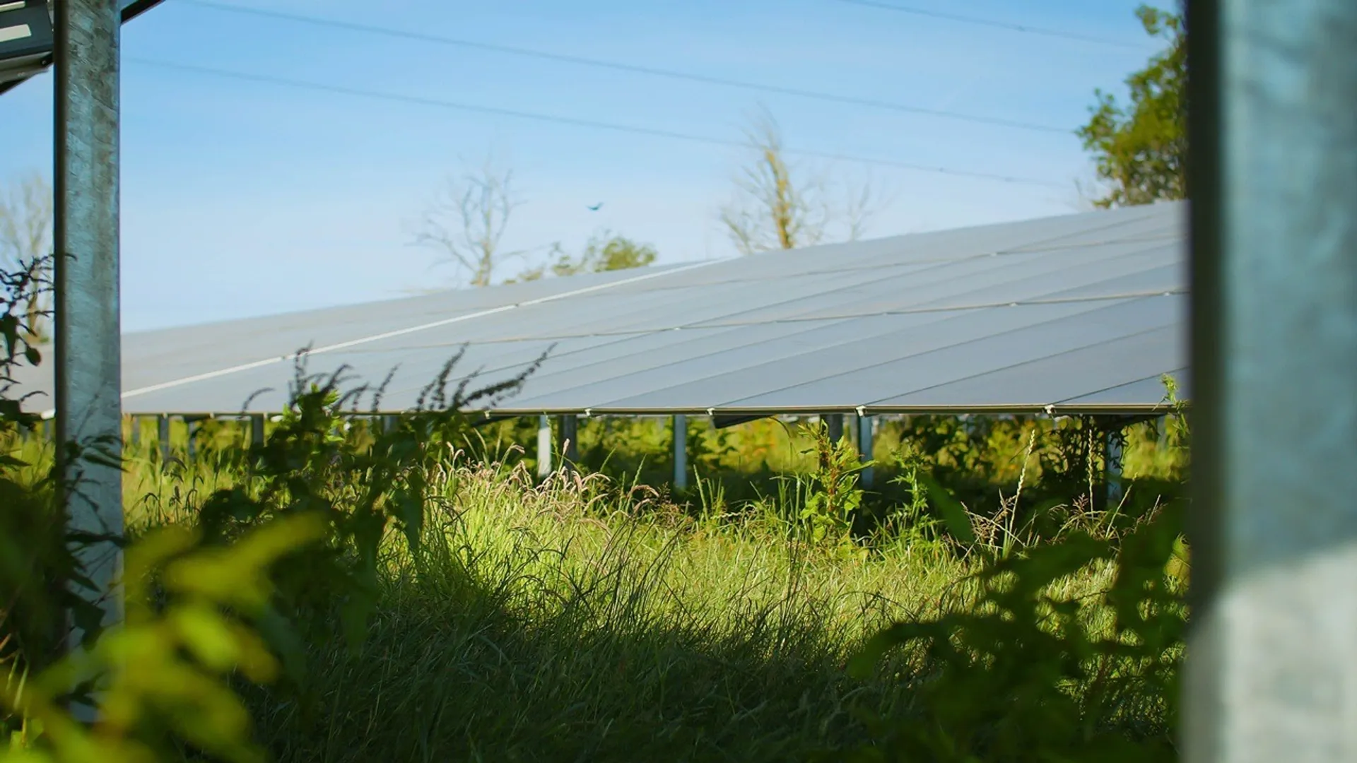 Bramley project has used Hi-MO 9 modules with 24.8% efficiency and -0.26%/°C coefficient for improved performance in British climate.