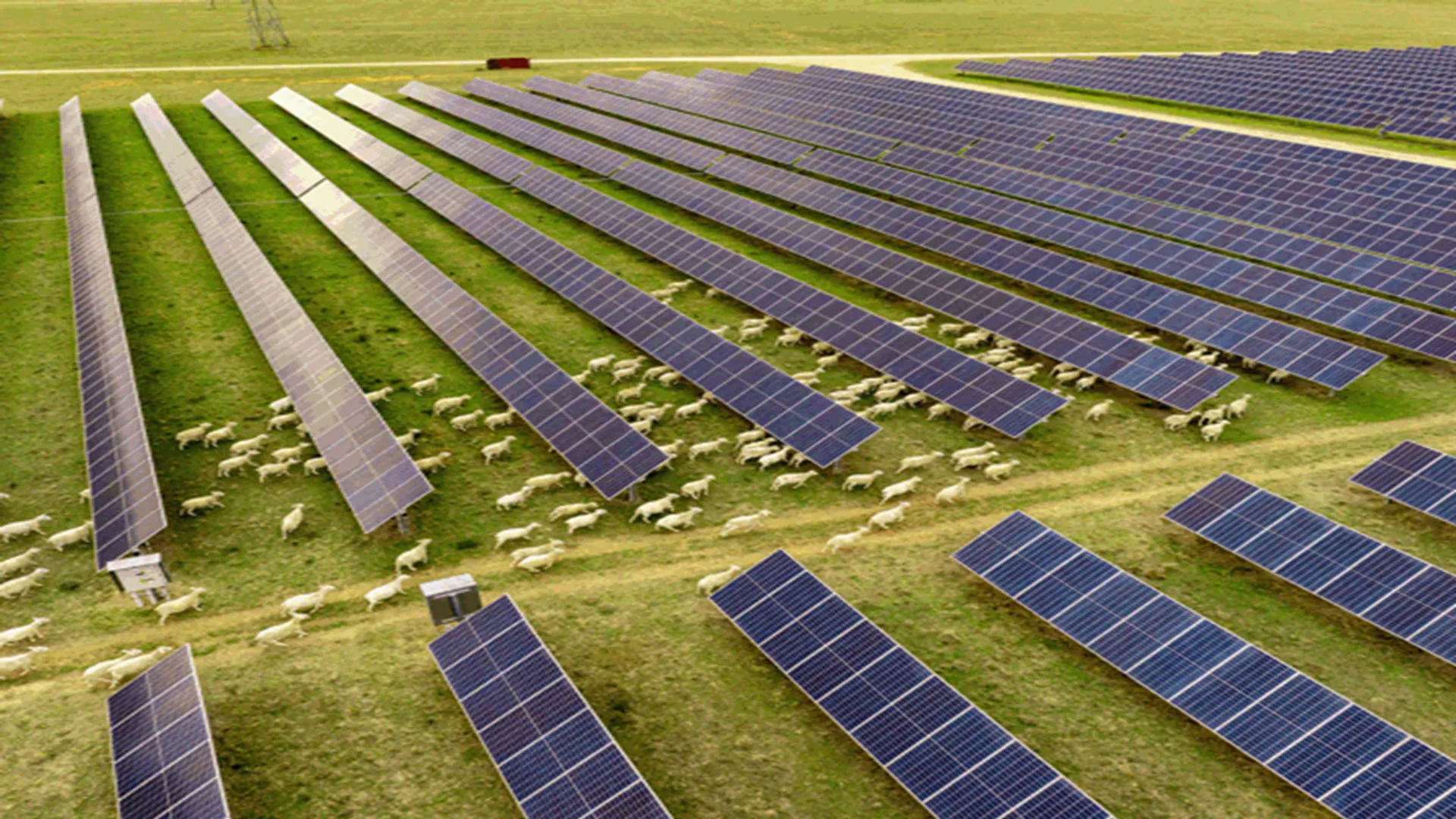 OASIS platform secured a billion-dollar investment from APG Asset Management to support large-scale clean energy assets.