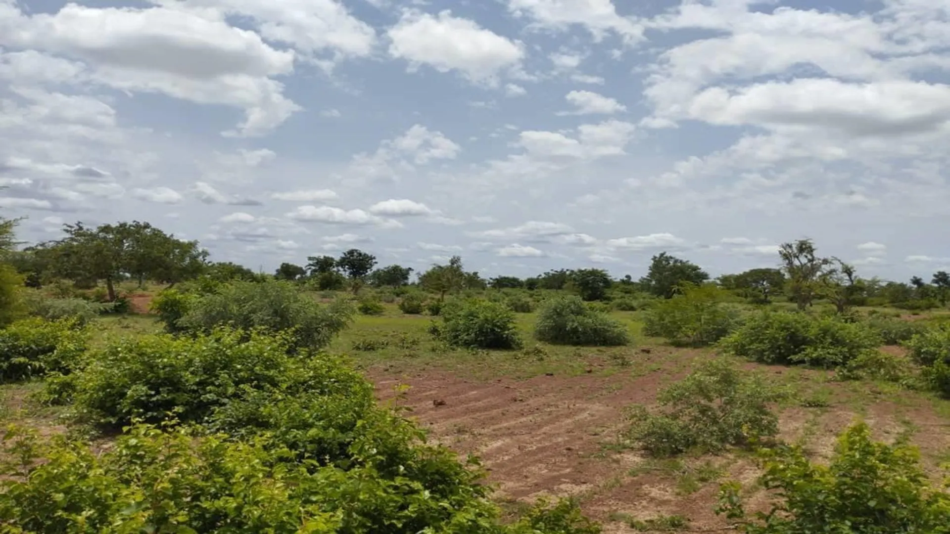 The €6 million concessional funding was granted by SEFA under the African Development Bank.