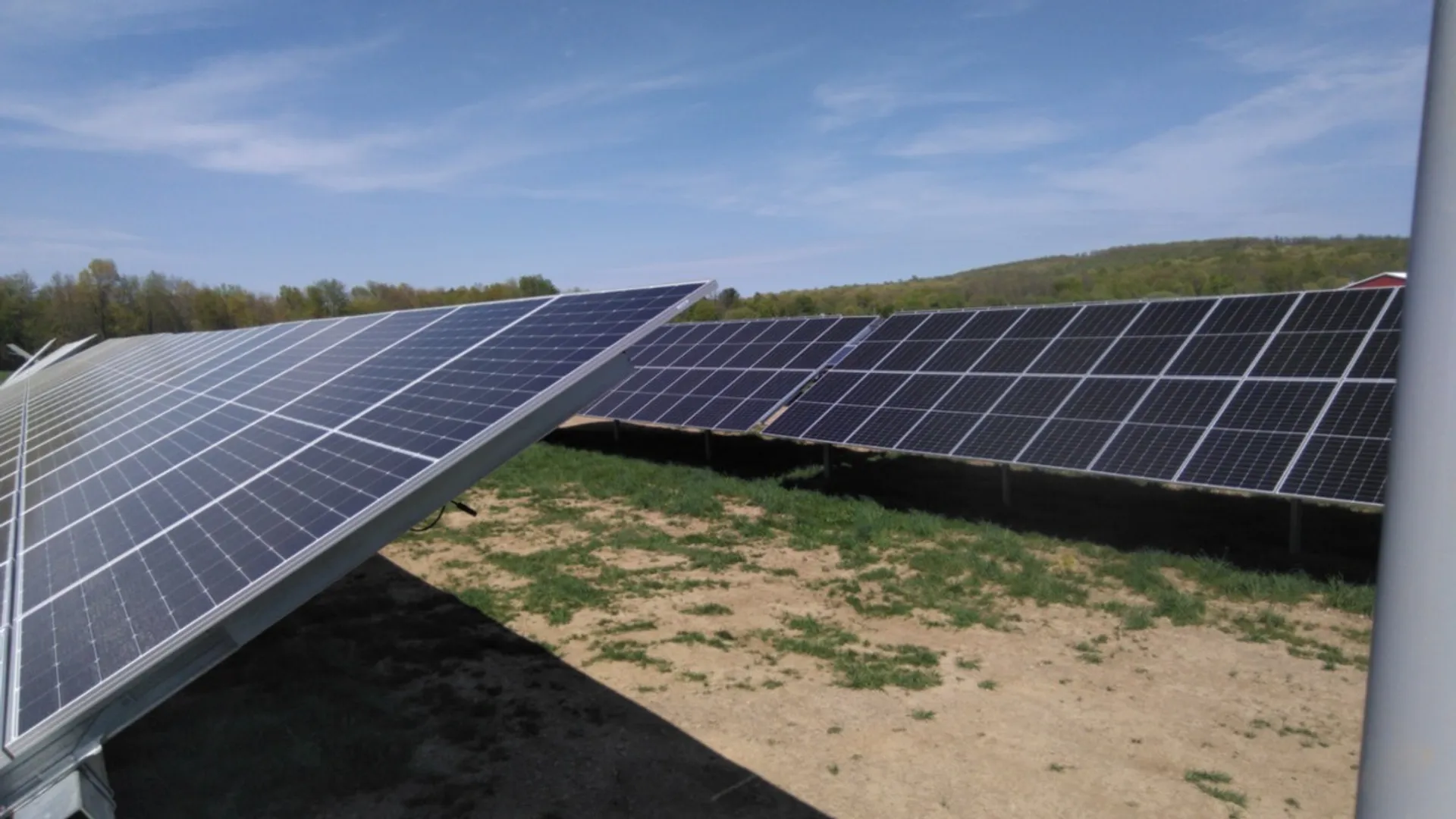 SolAg has supported agricultural design to enable a new entrant farmer to grow vegetables alongside the solar array.