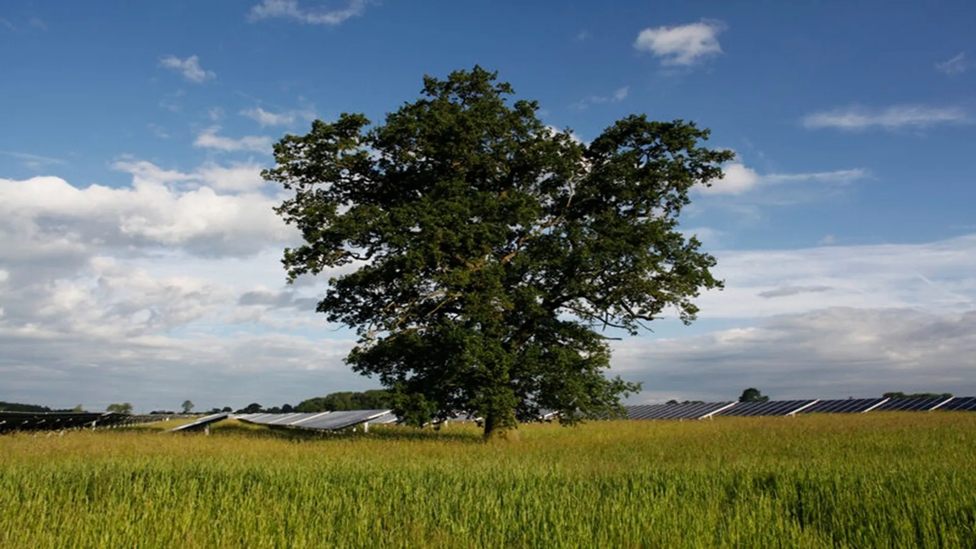 Council described the Cressing-based proposal as both attractive and well-structured.