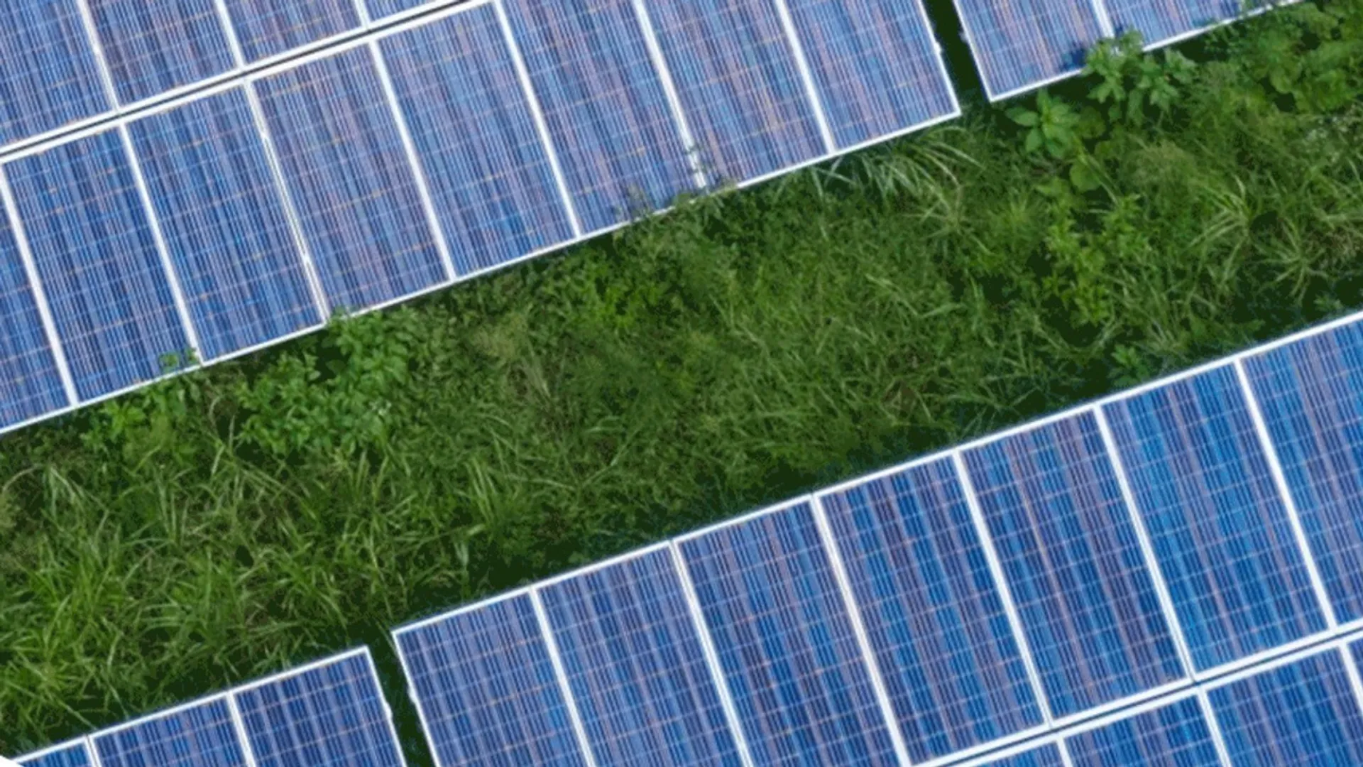 The SRECs purchased under the agreement have been designated for compliance use in hedging electricity supply positions in New Jersey.