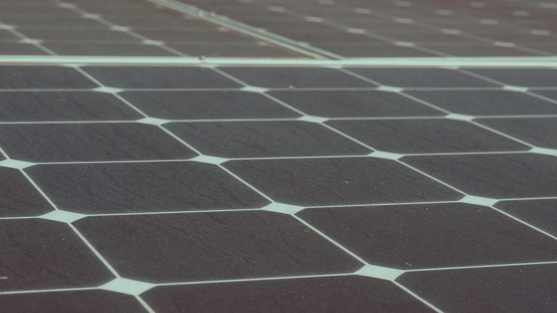 Amendment has retained full inspection rules with limited exemptions for co-branded OEM-brand owner arrangements meeting ALMM criteria.