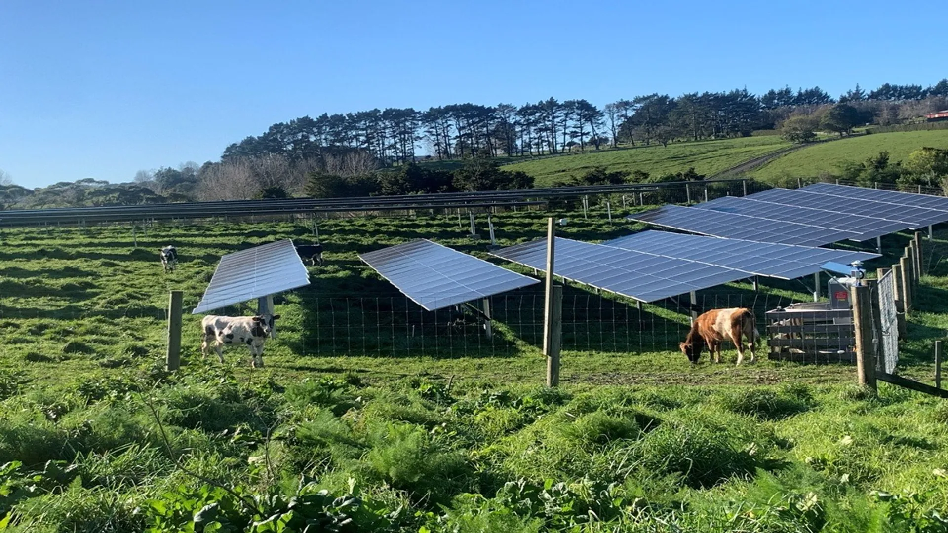 Lightyears Solar’s 14 MW capacity across Auckland, Wairarapa, and Ashburton was connected to local networks and supplied nearby districts.