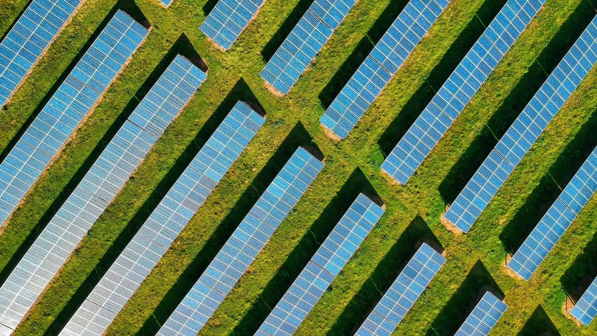 Waaree has structured the deal with ₹792 crore in cash while also taking responsibility for Enel’s debt.