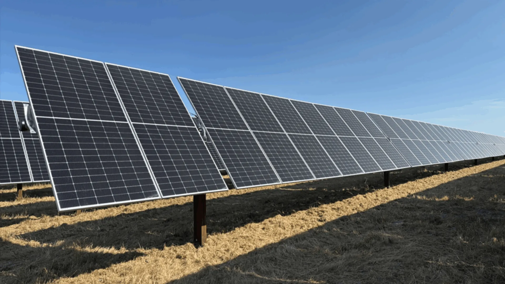 The 150 MW Winfield solar project in Missouri was completed to deliver all electricity to Microsoft under a 15-year contract.